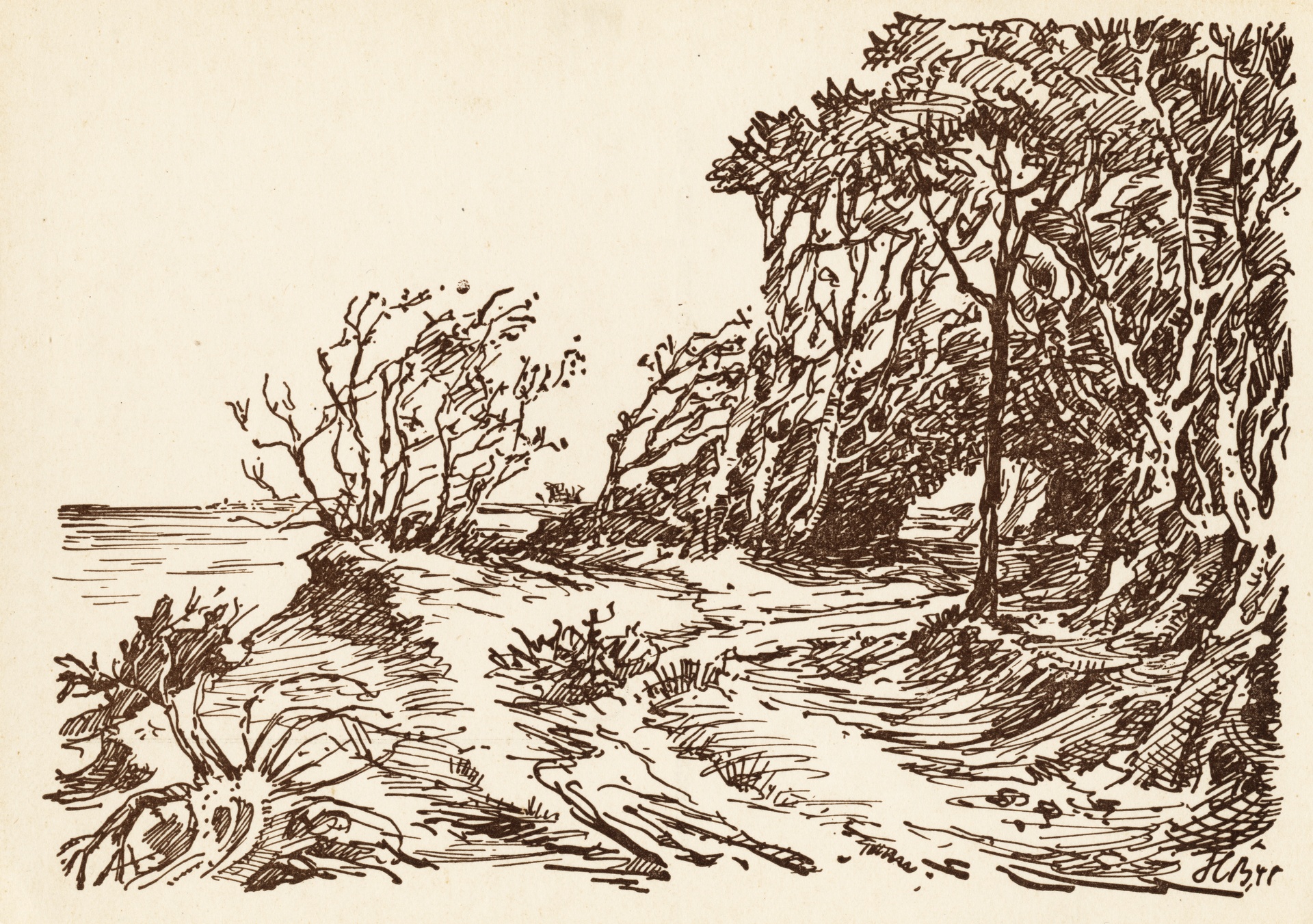 Побережье в Дарце