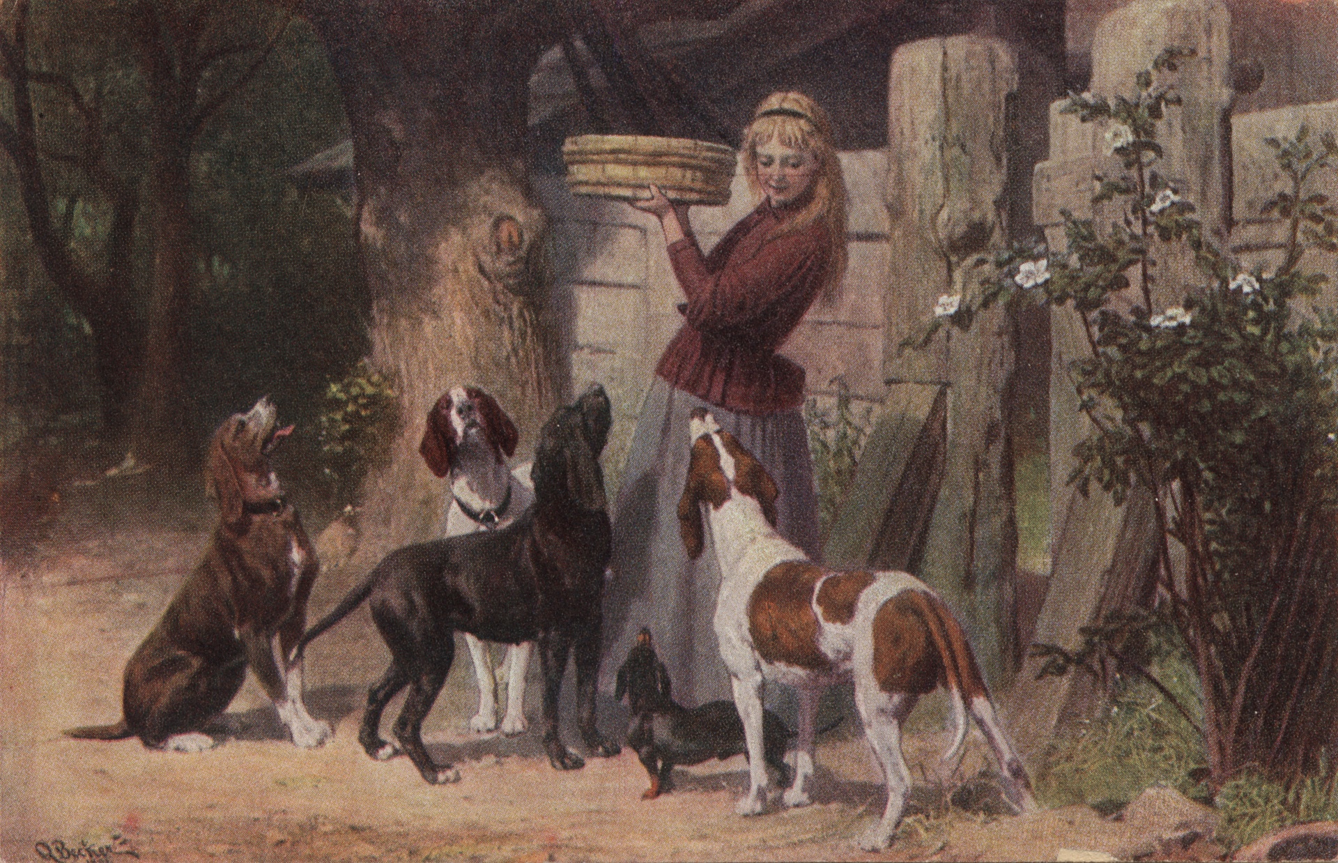 Кормление собак