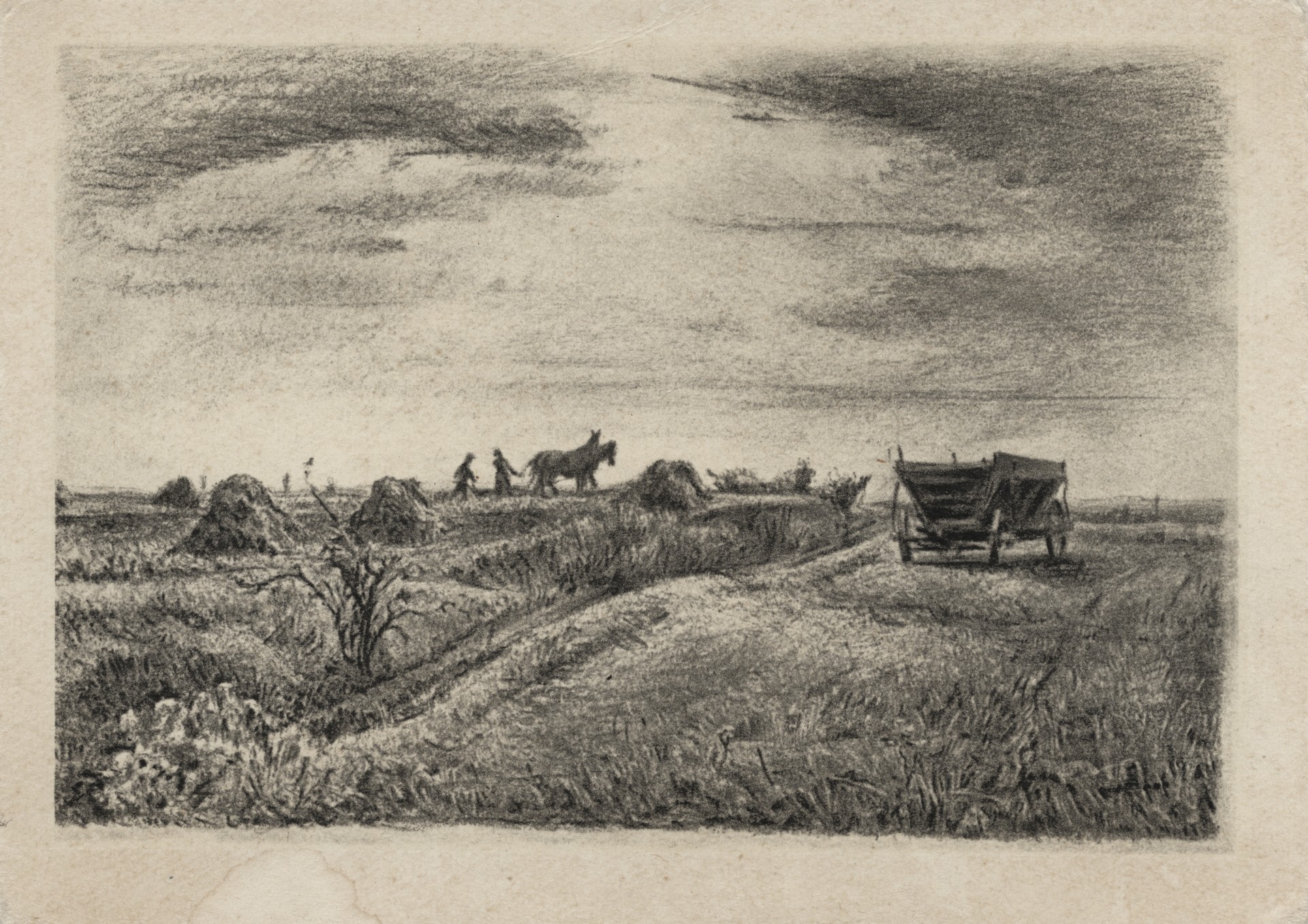 Работа в поле