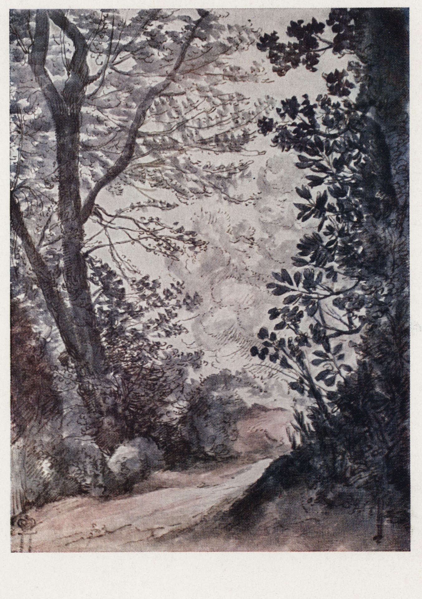 Дорога в лесу