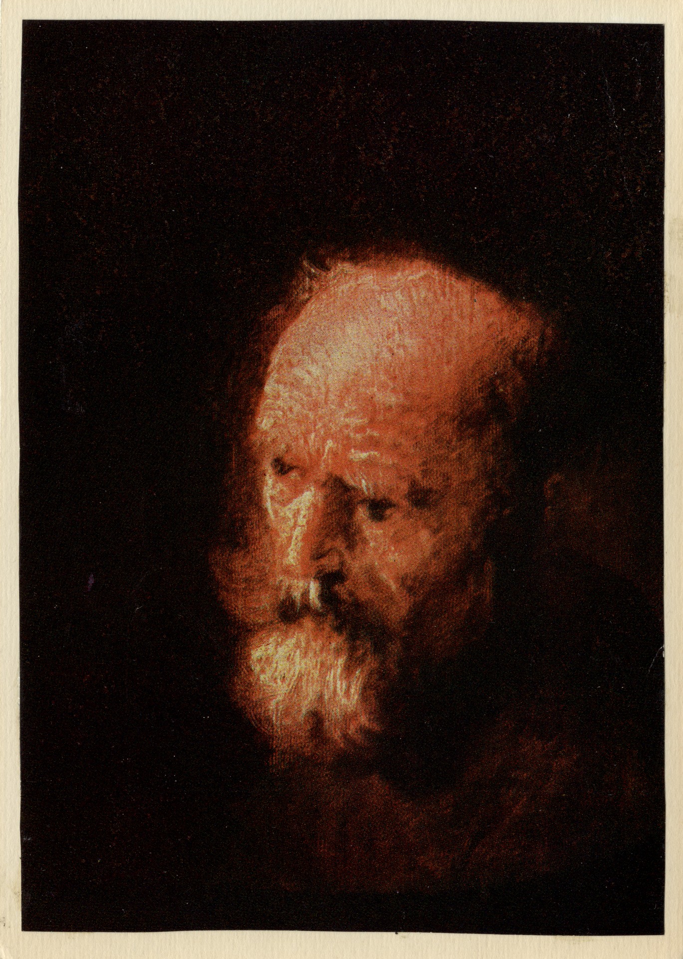 Голова старика