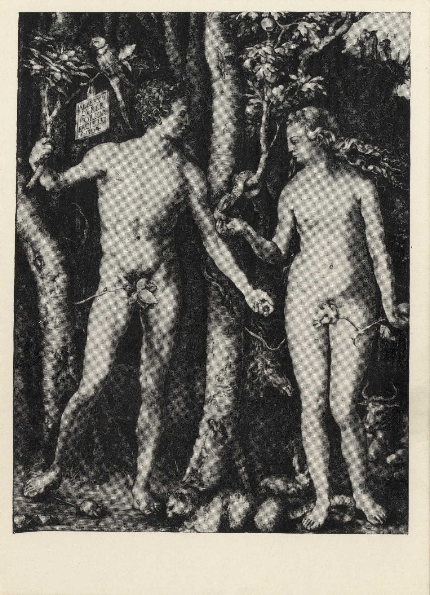 Адам и Ева 1