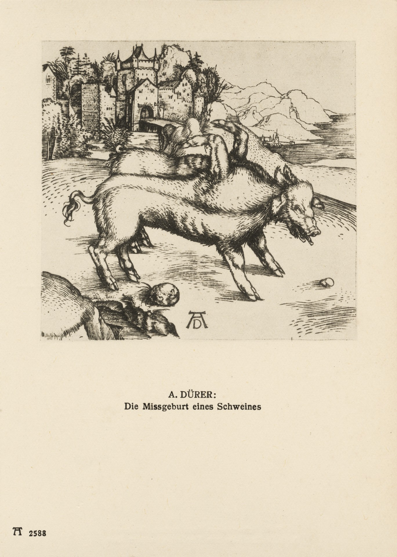 Кабаны-уроды