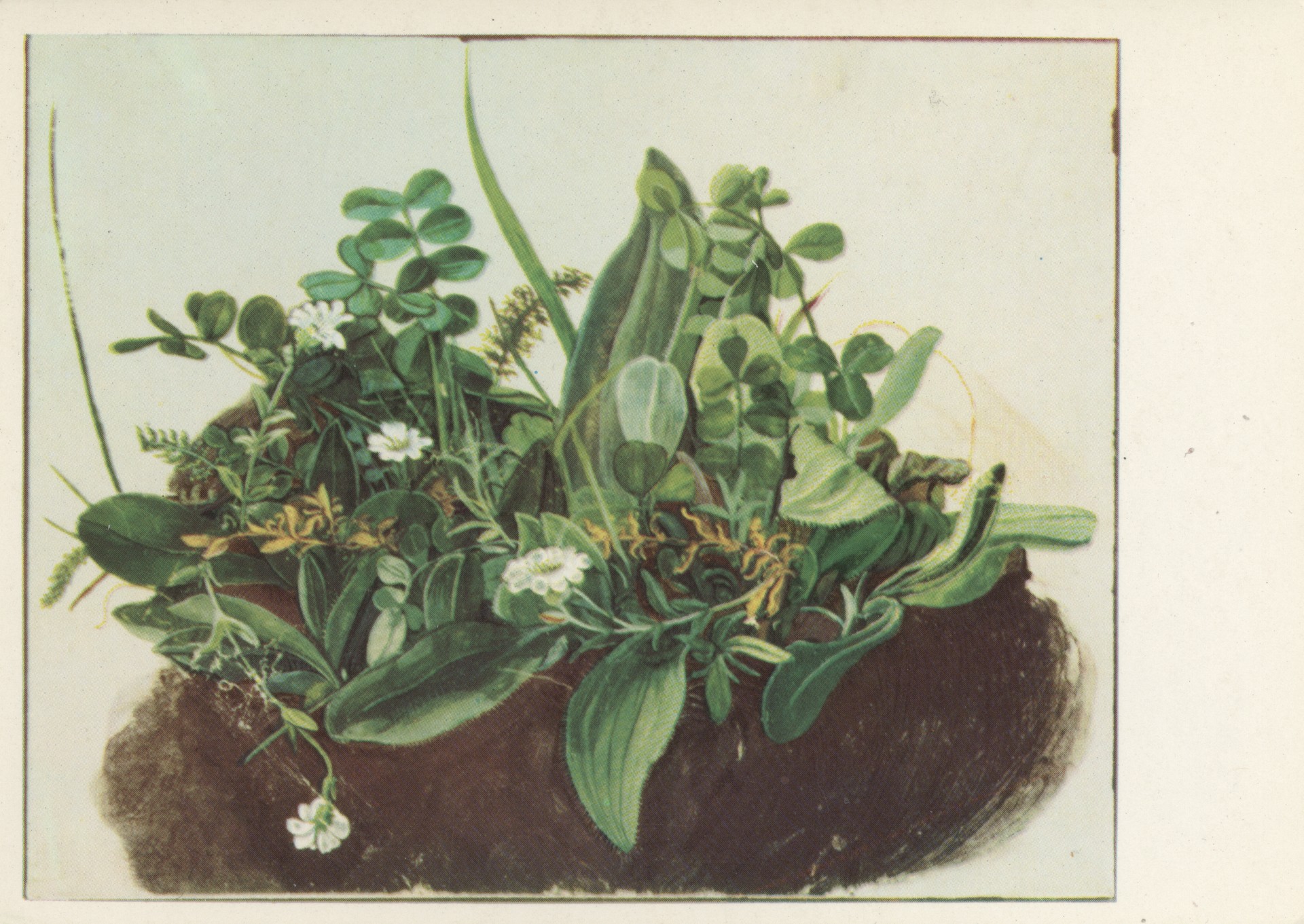 Малый букет