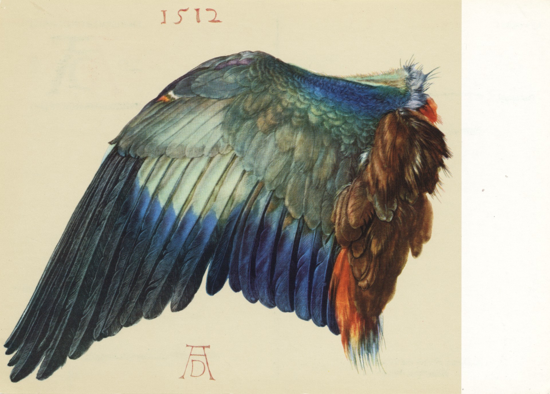 Сизоворонка