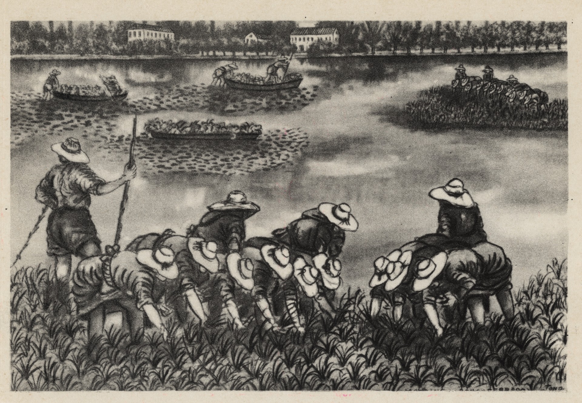 Сельскохозяственные работы в Ронкоферрато