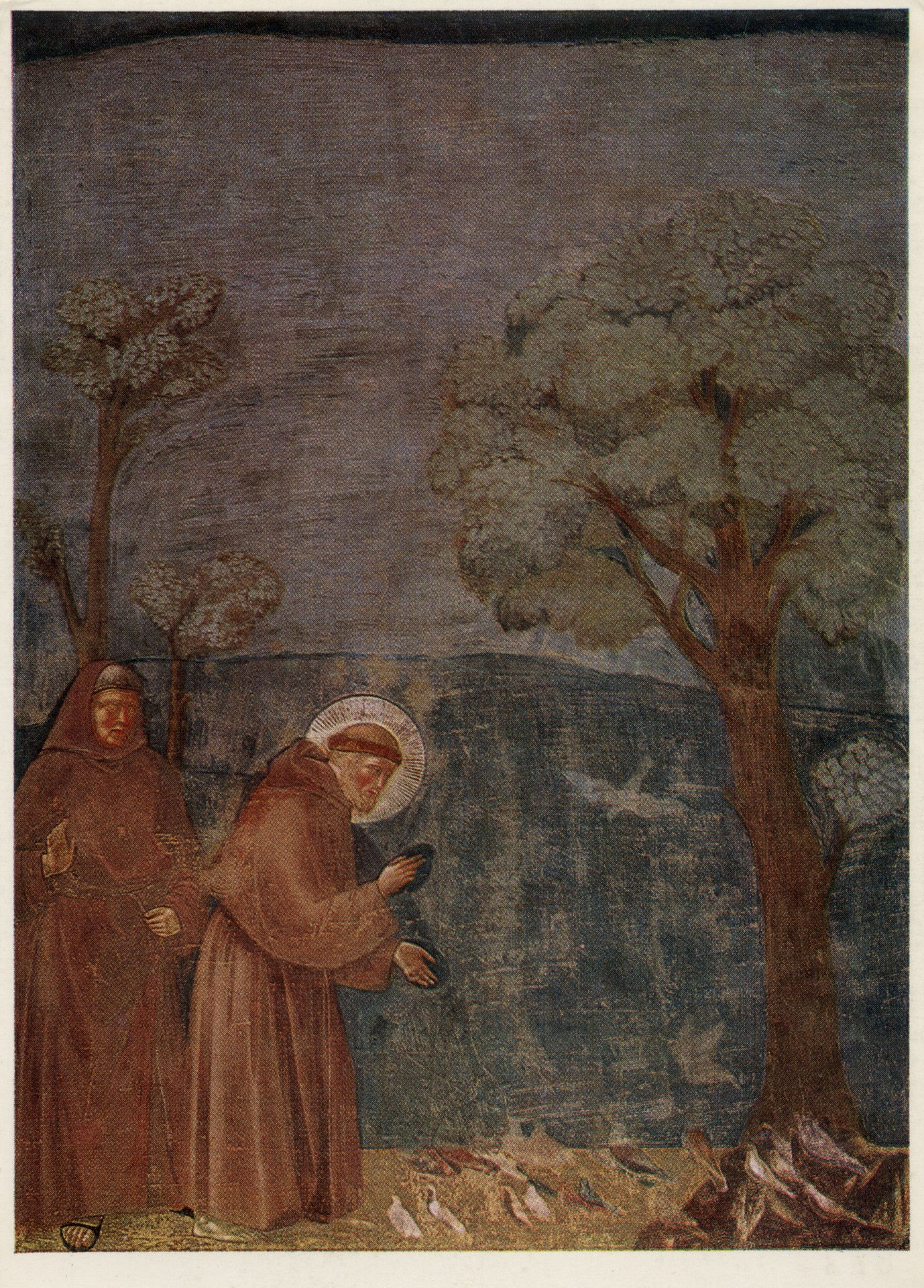 Голуби Святого Фарнциска