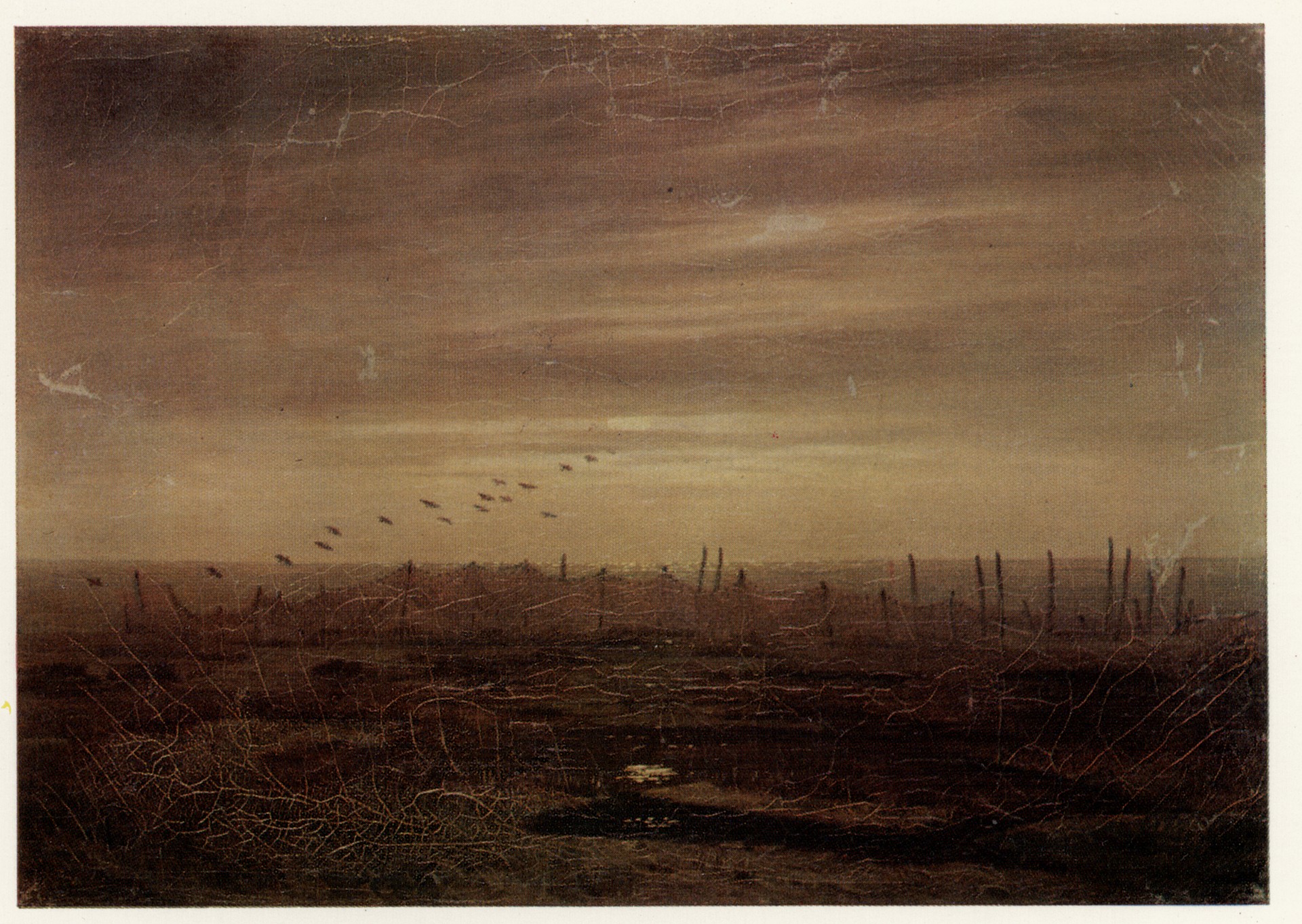 Берег моря (сети)