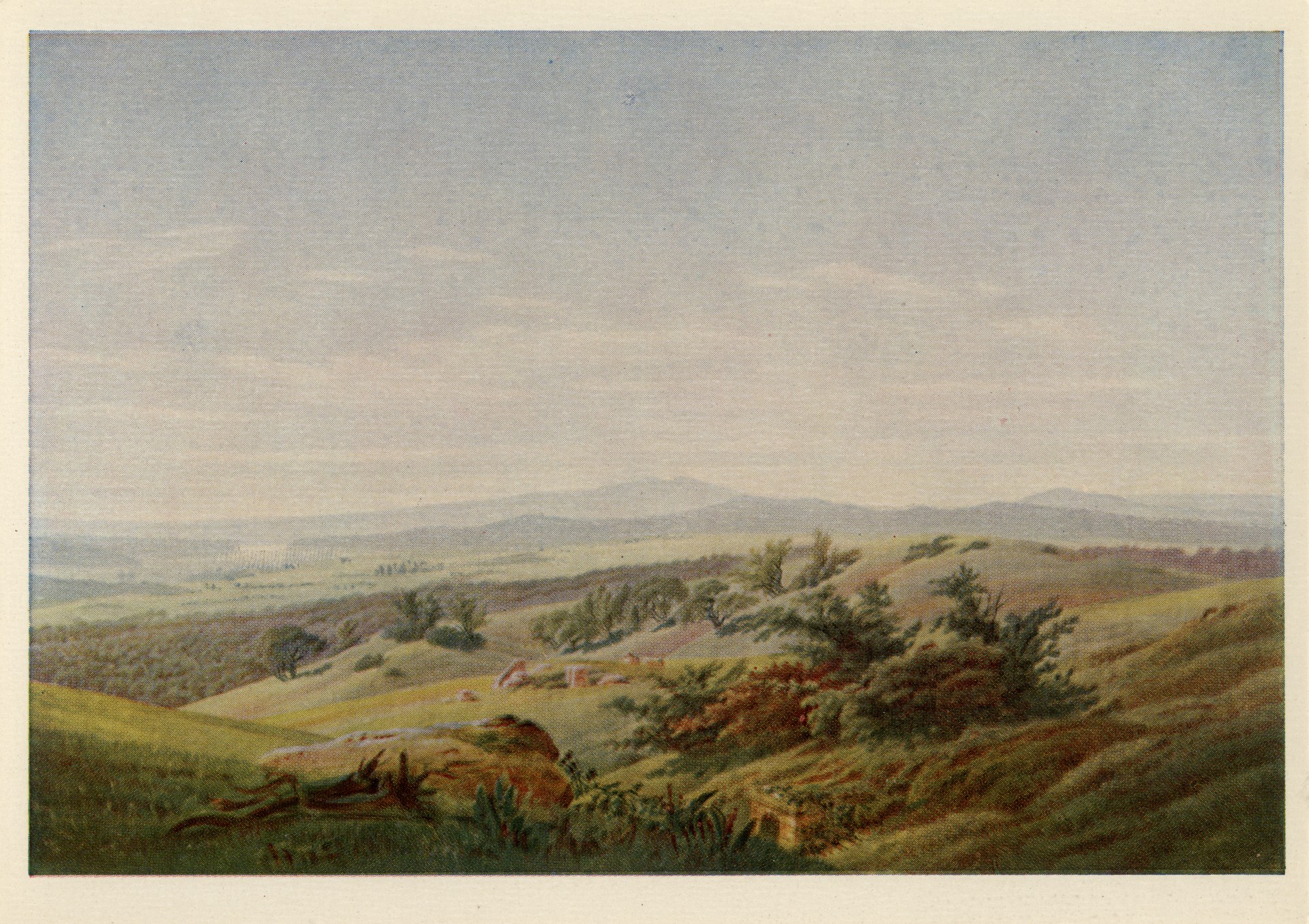 Ландшафт с деревьями