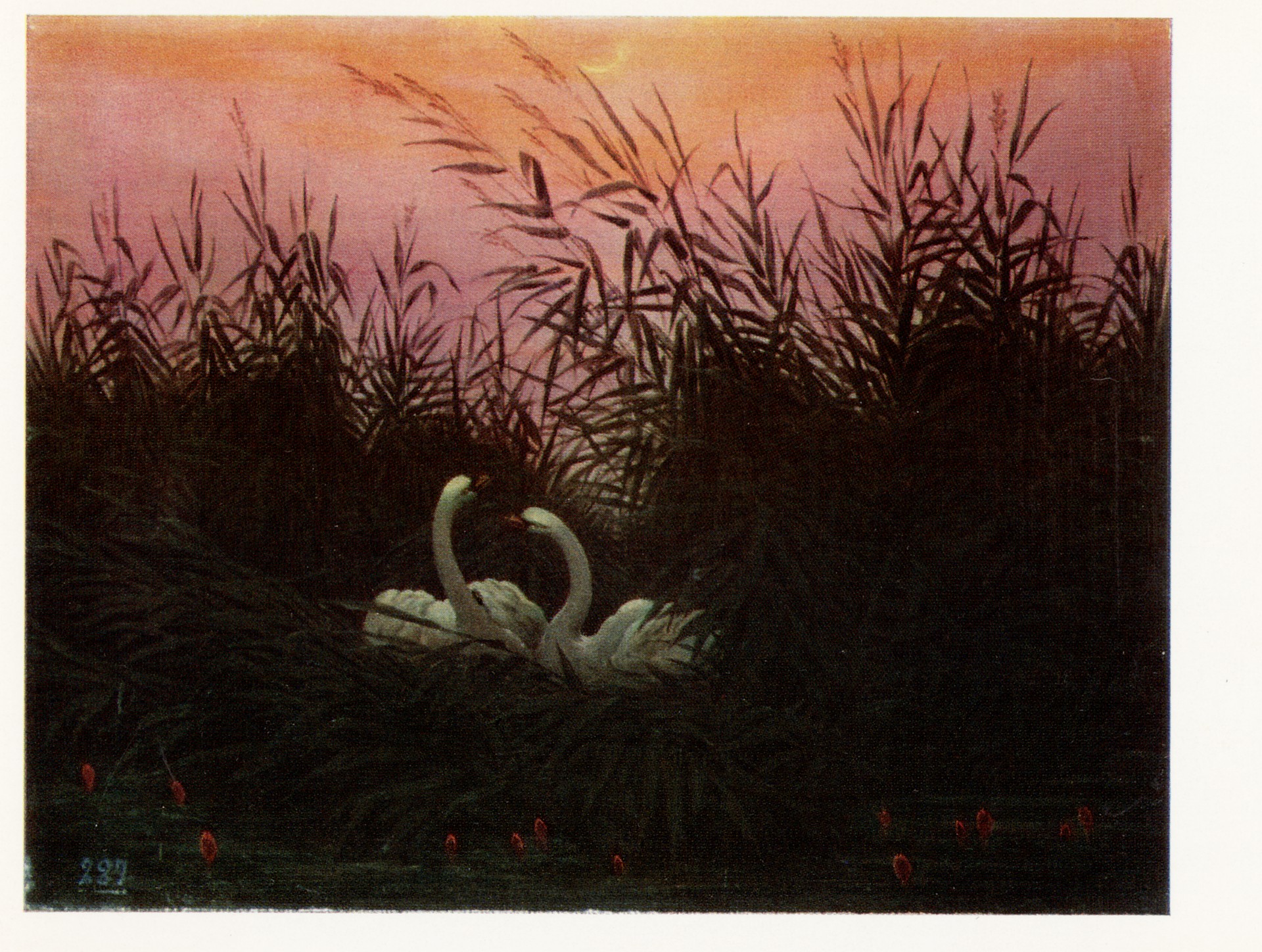 Лебеди в камышах