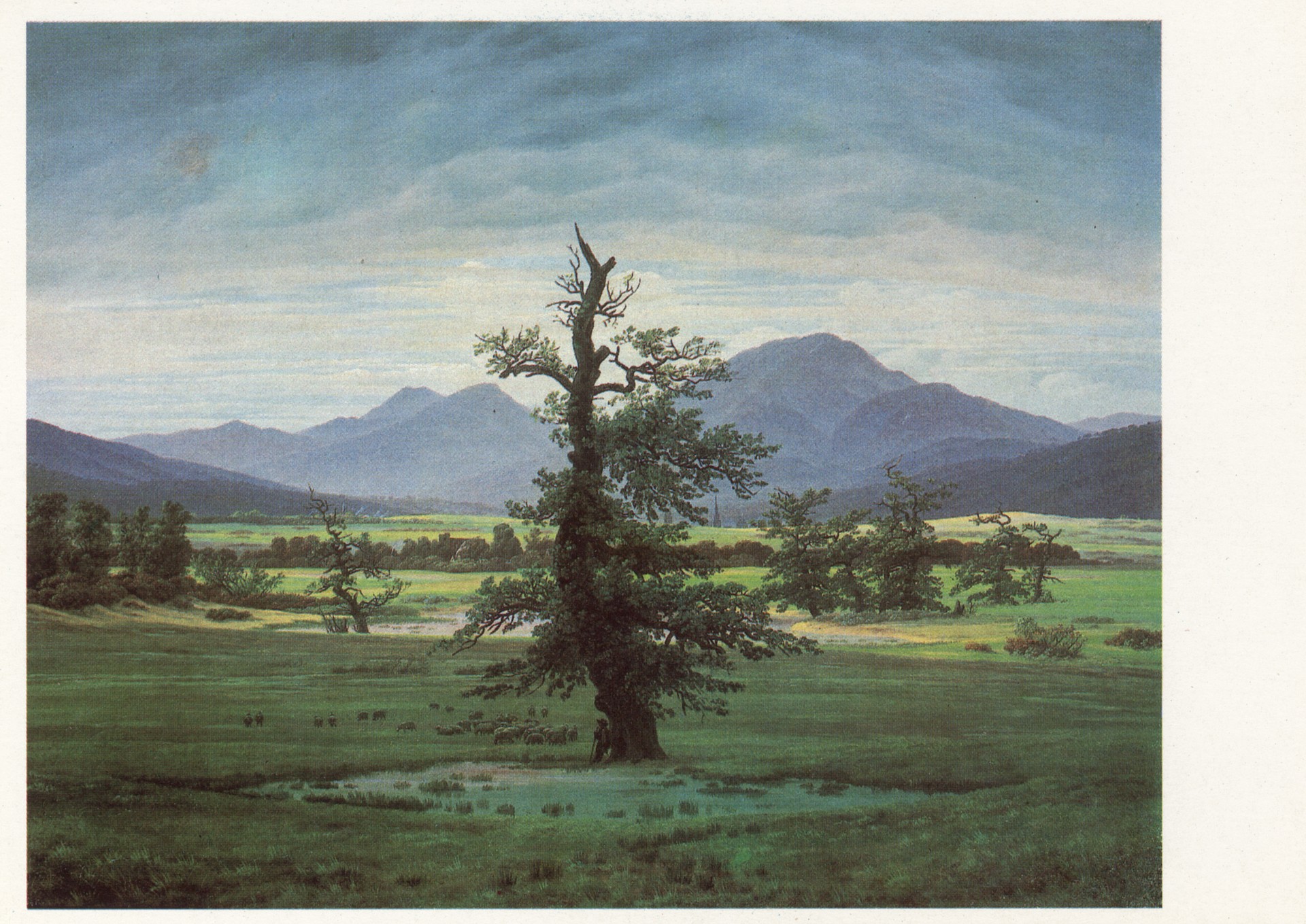 Одинокое дерево