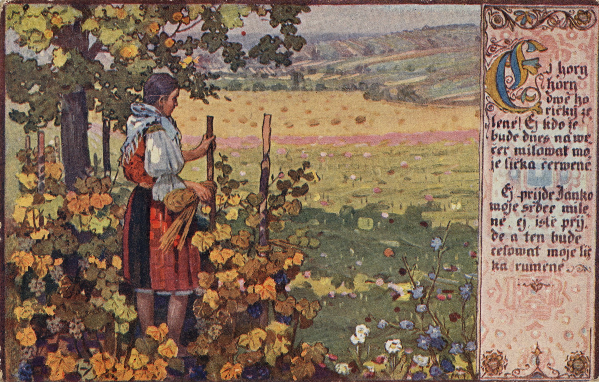 Эй, хори, хори