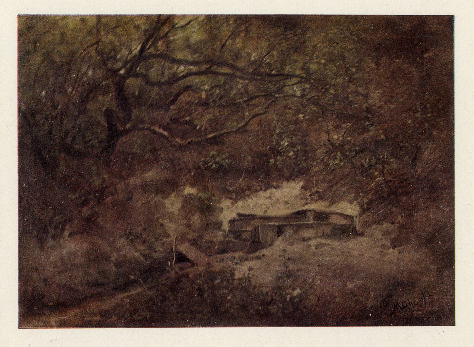 Деревья у ручья