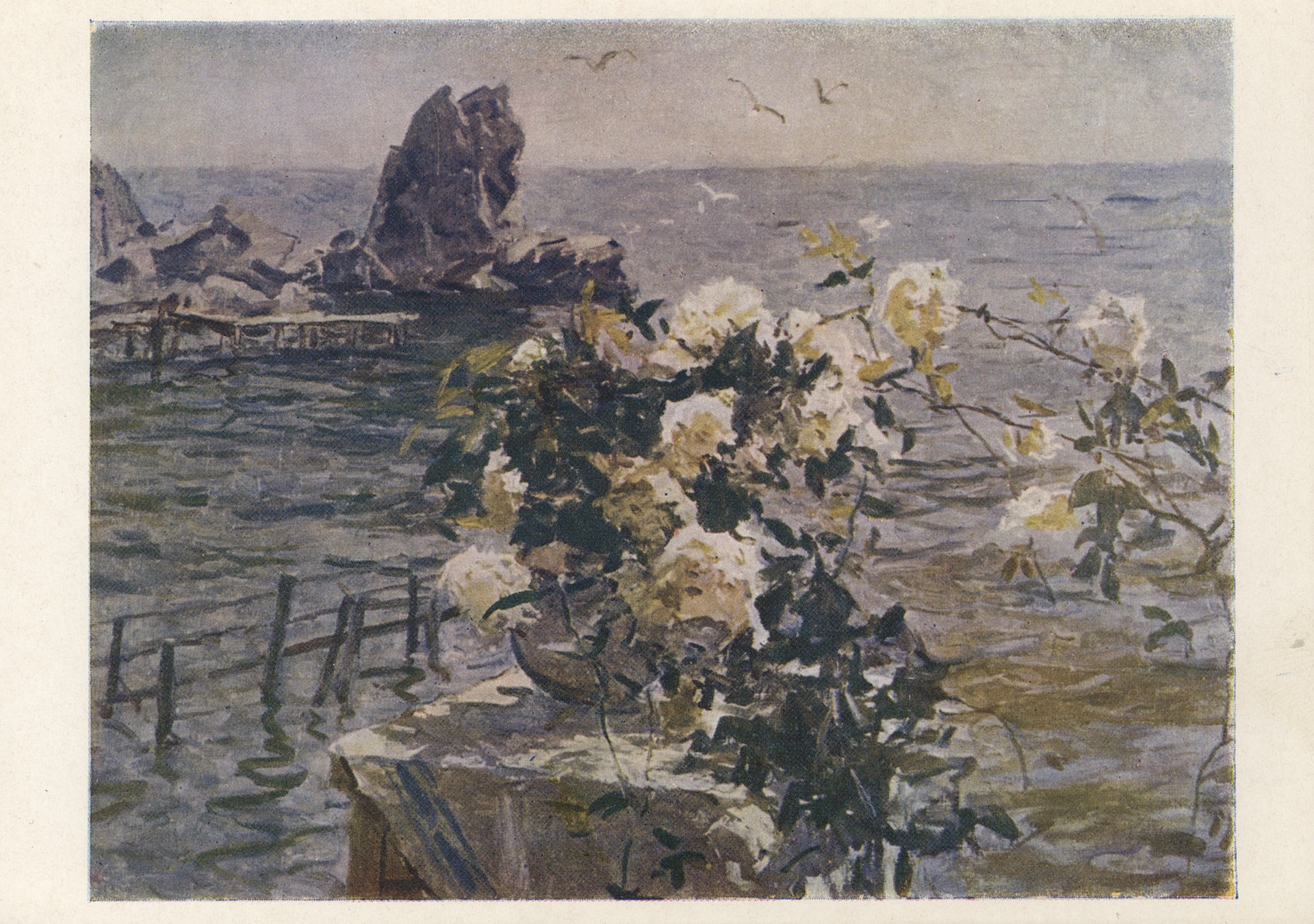 Бiлi троянди