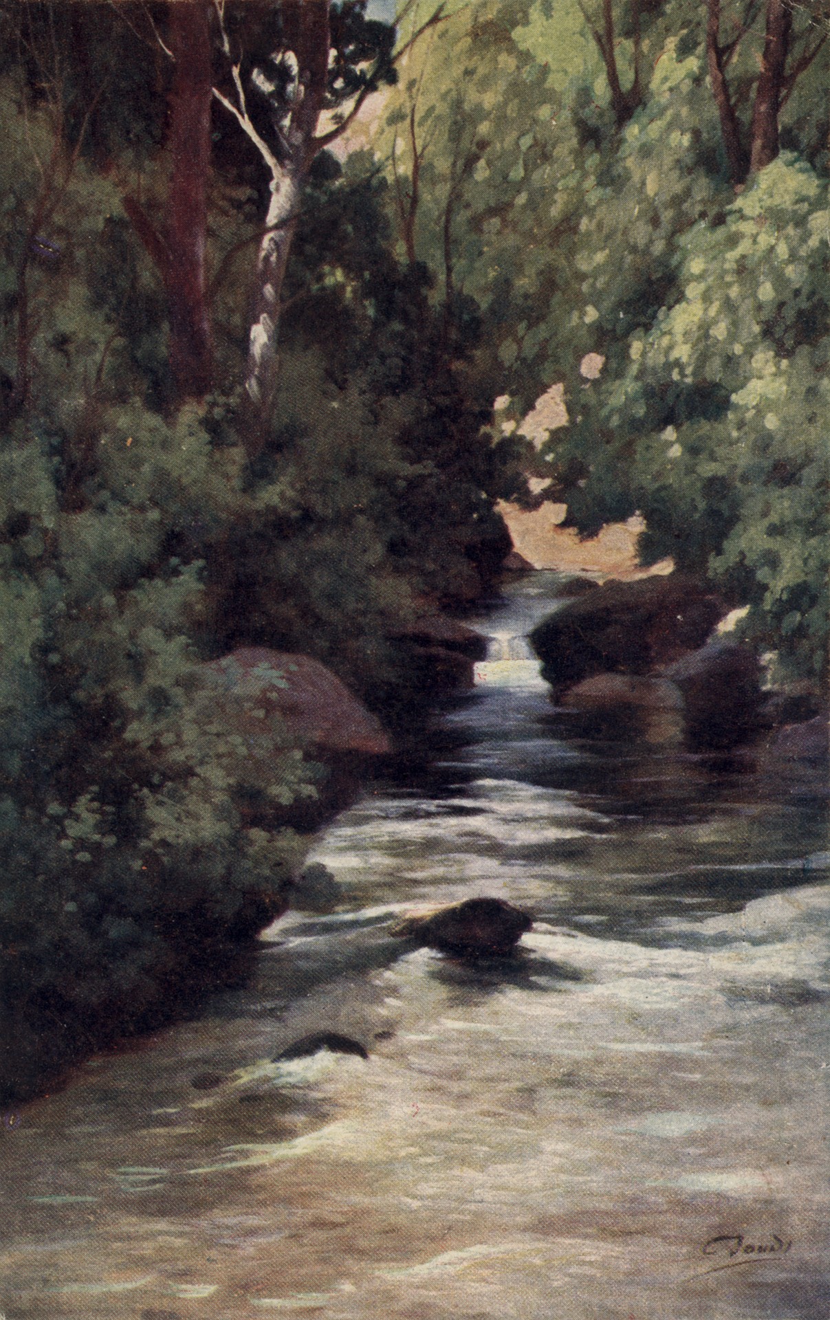 Речка в лесу