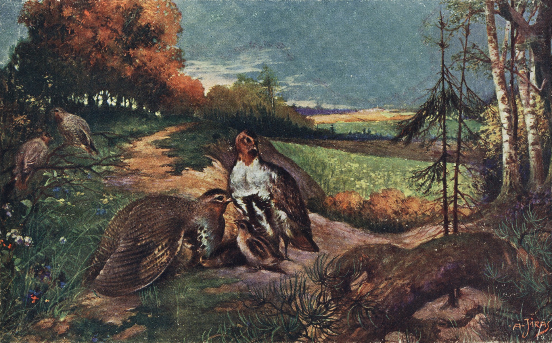 Дичь на природе