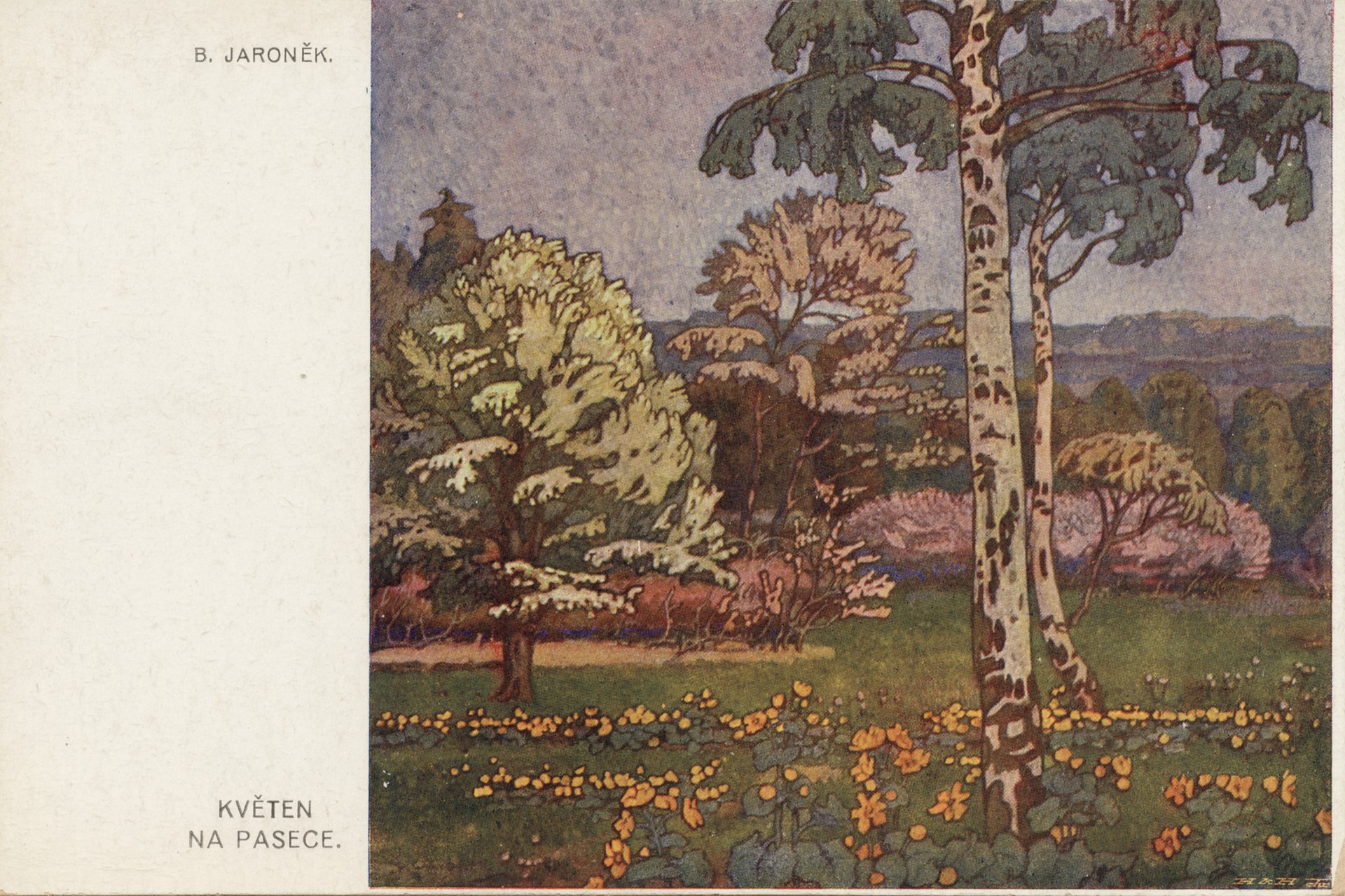 Цветы на лугу