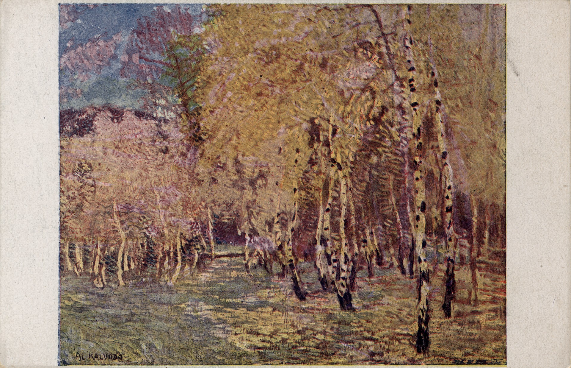 Берёзы летом