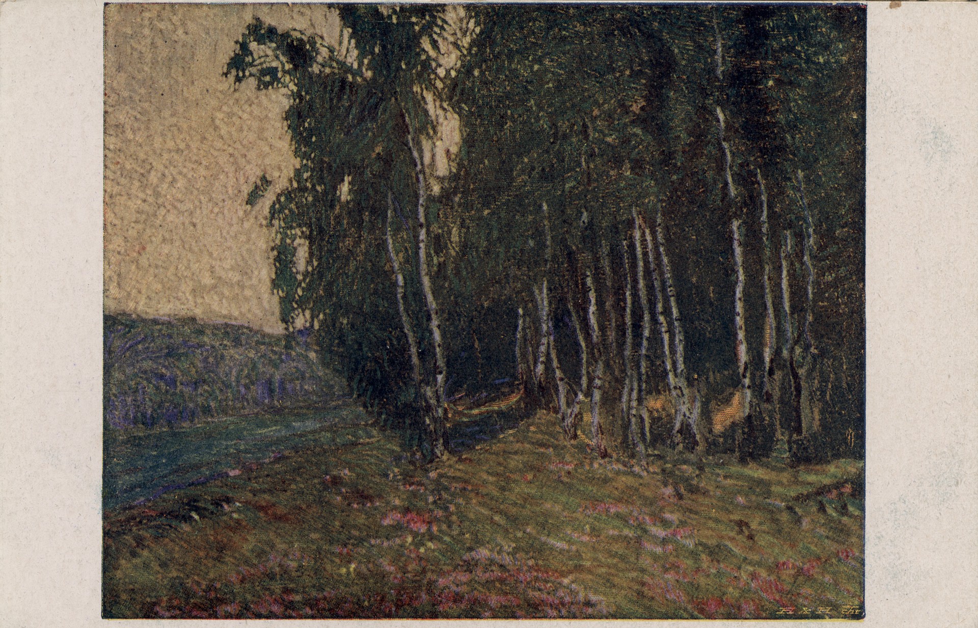 Берёзы в поле