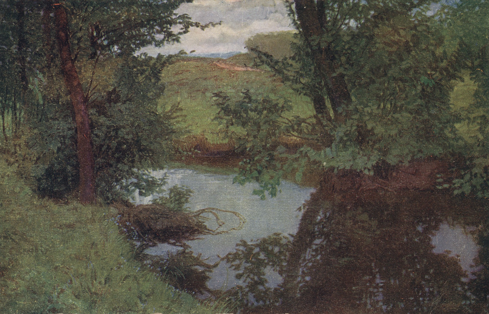 Деревья у реки