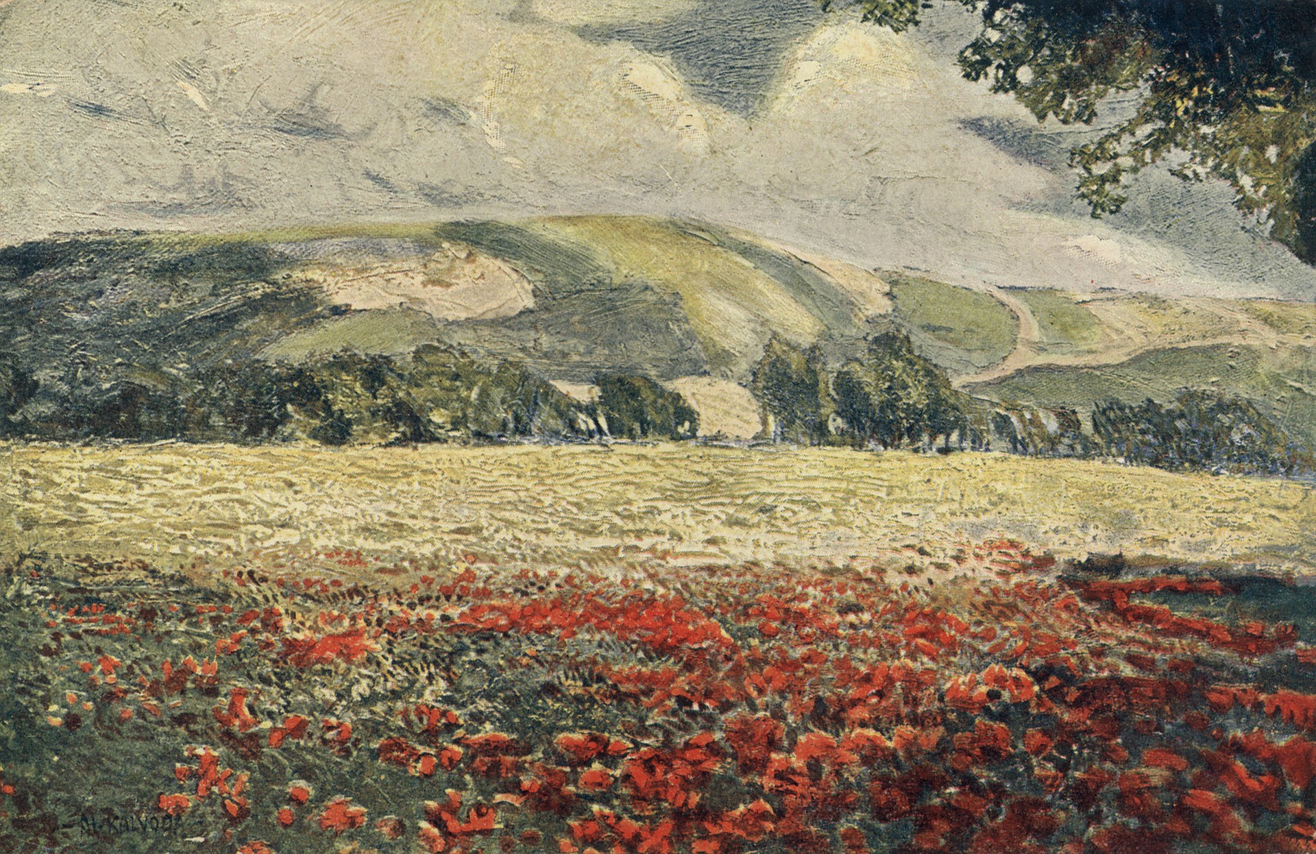 Маковое поле 1