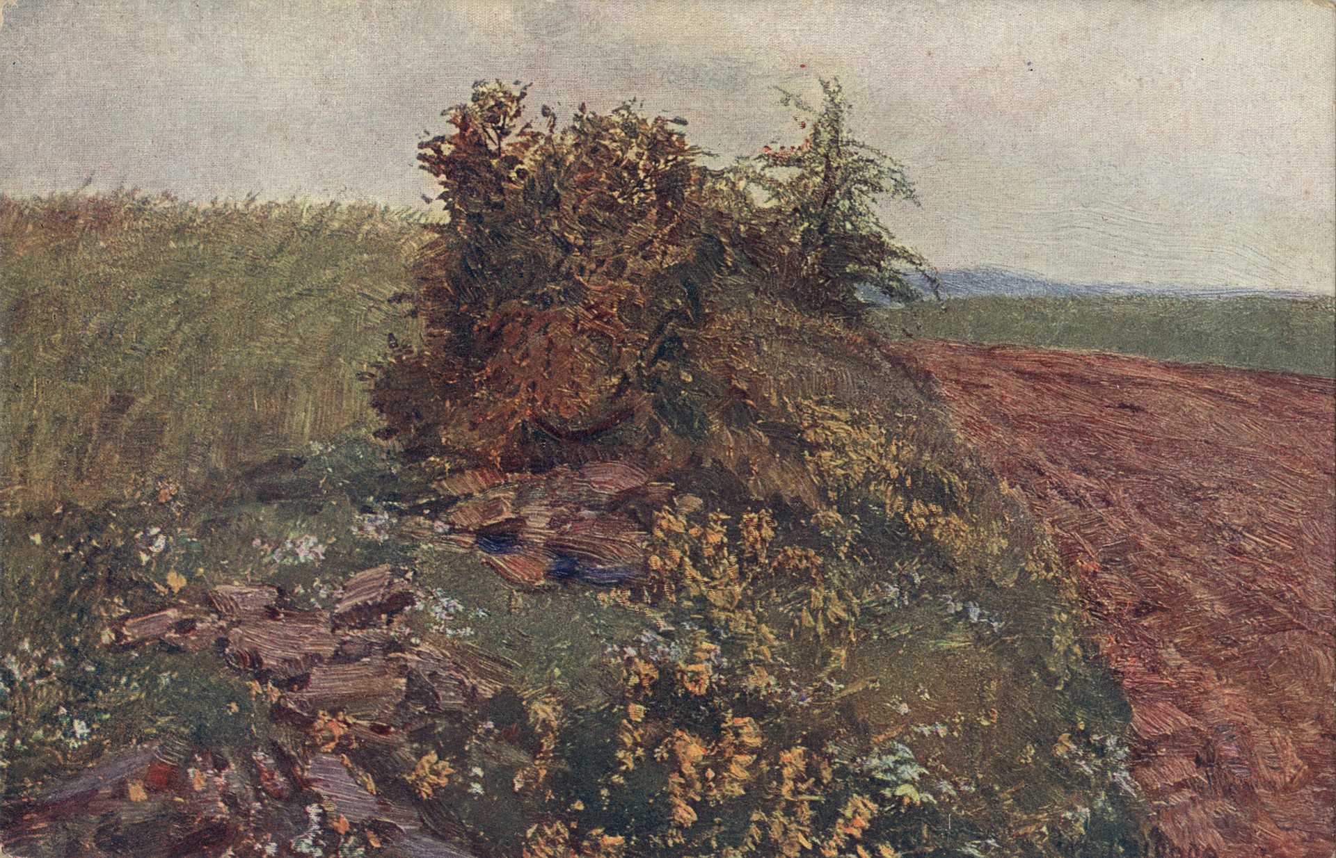 Распаханное поле