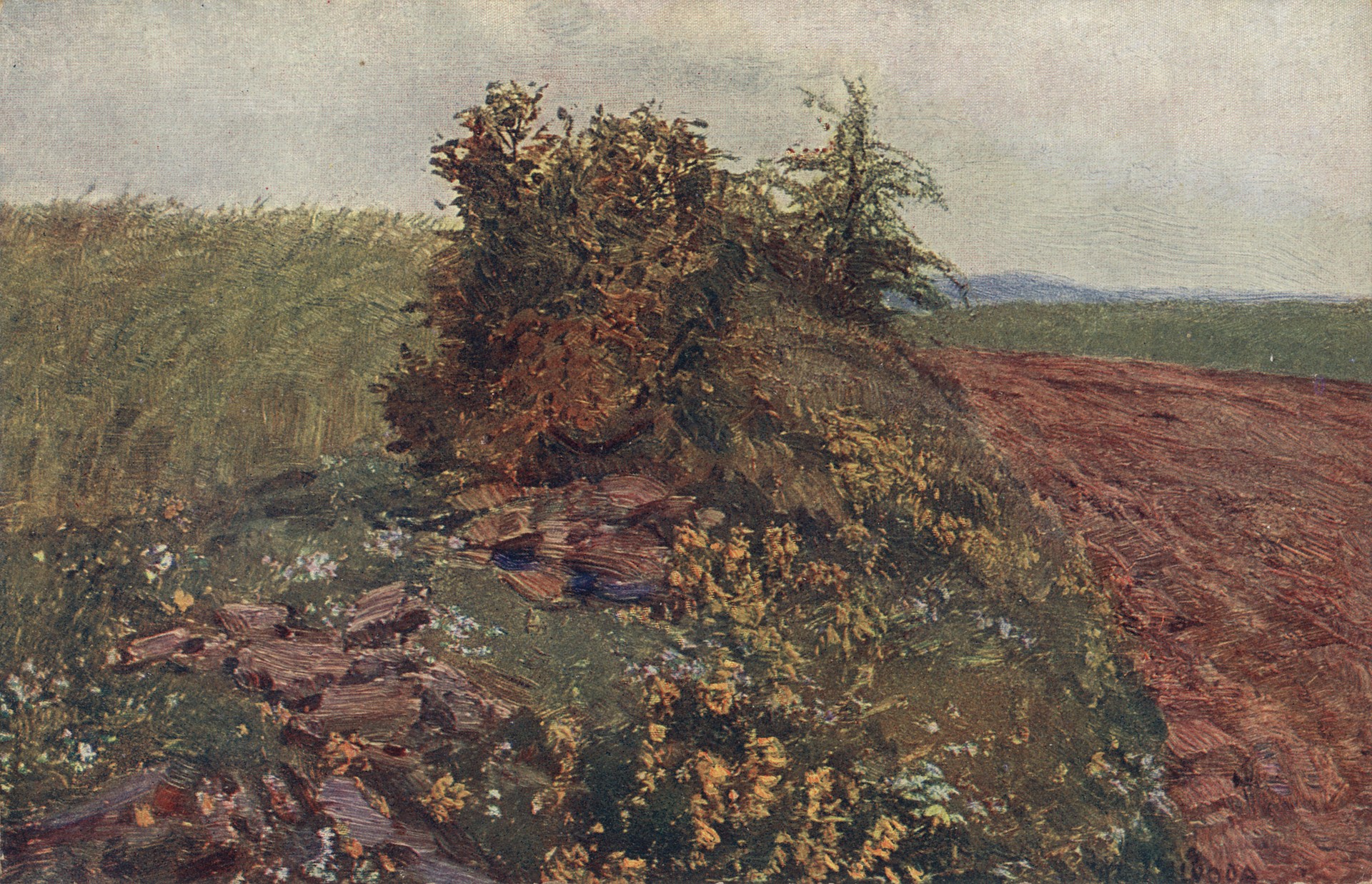 Цветы на пригорке