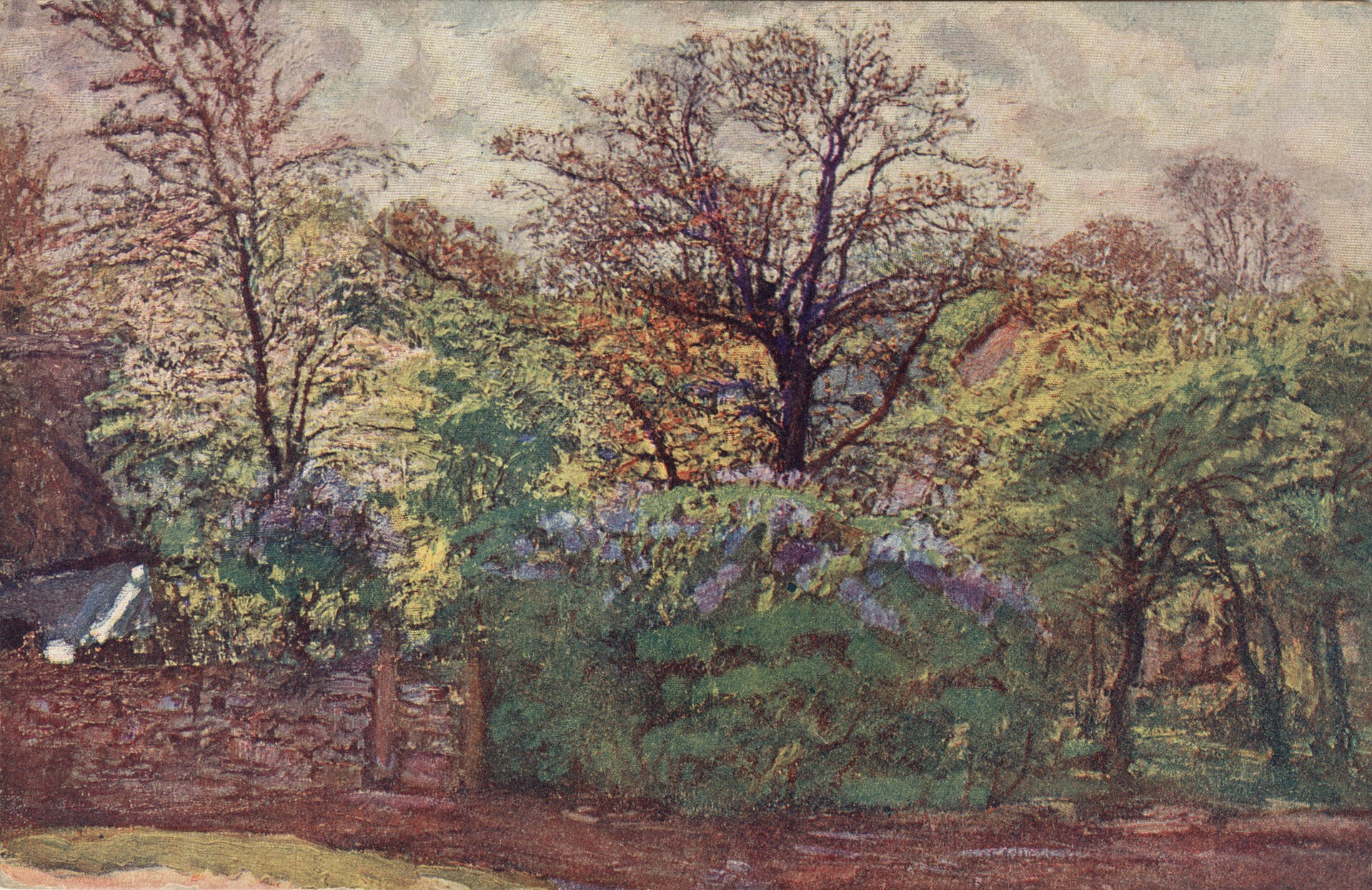 Зараби в цвету