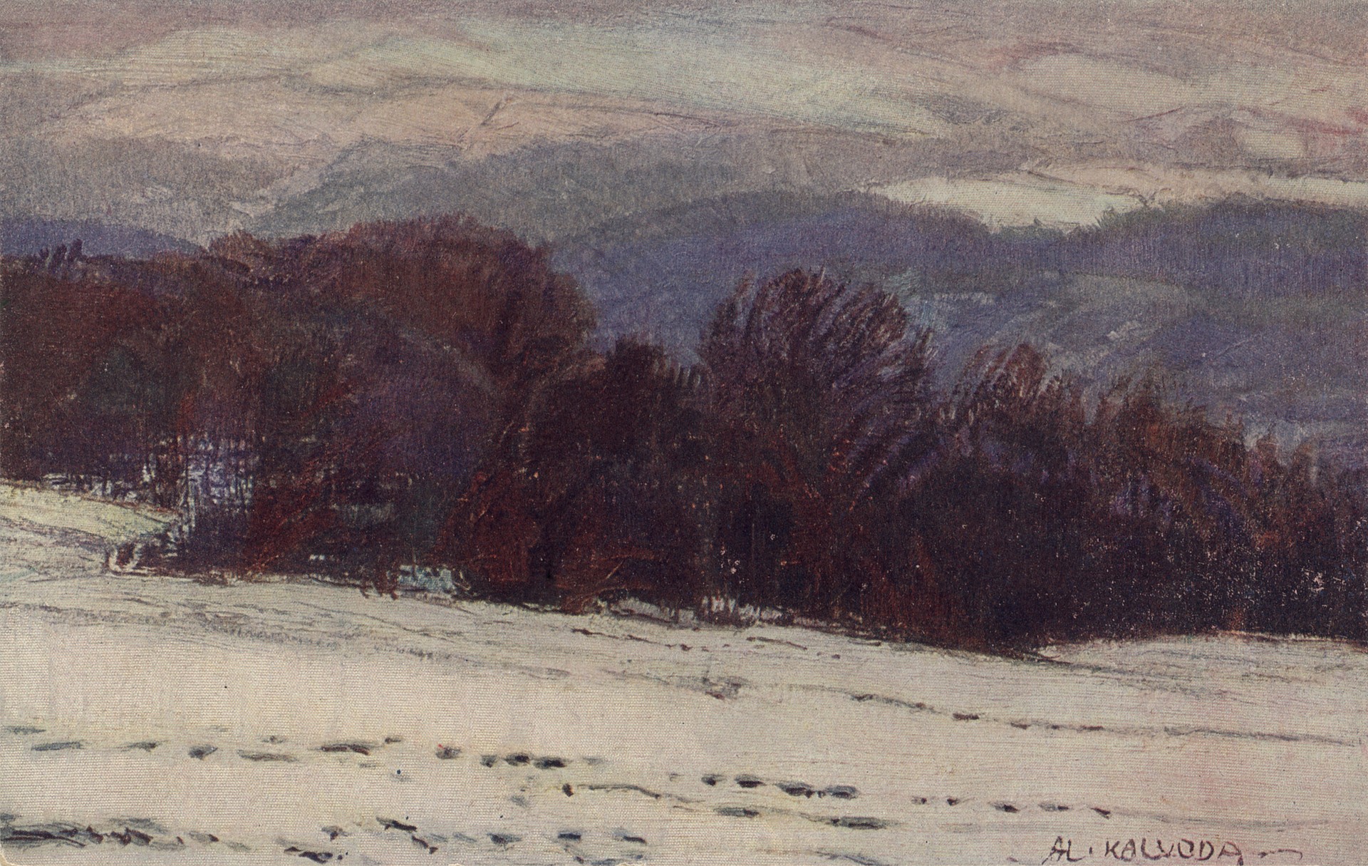 Заснеженное поле