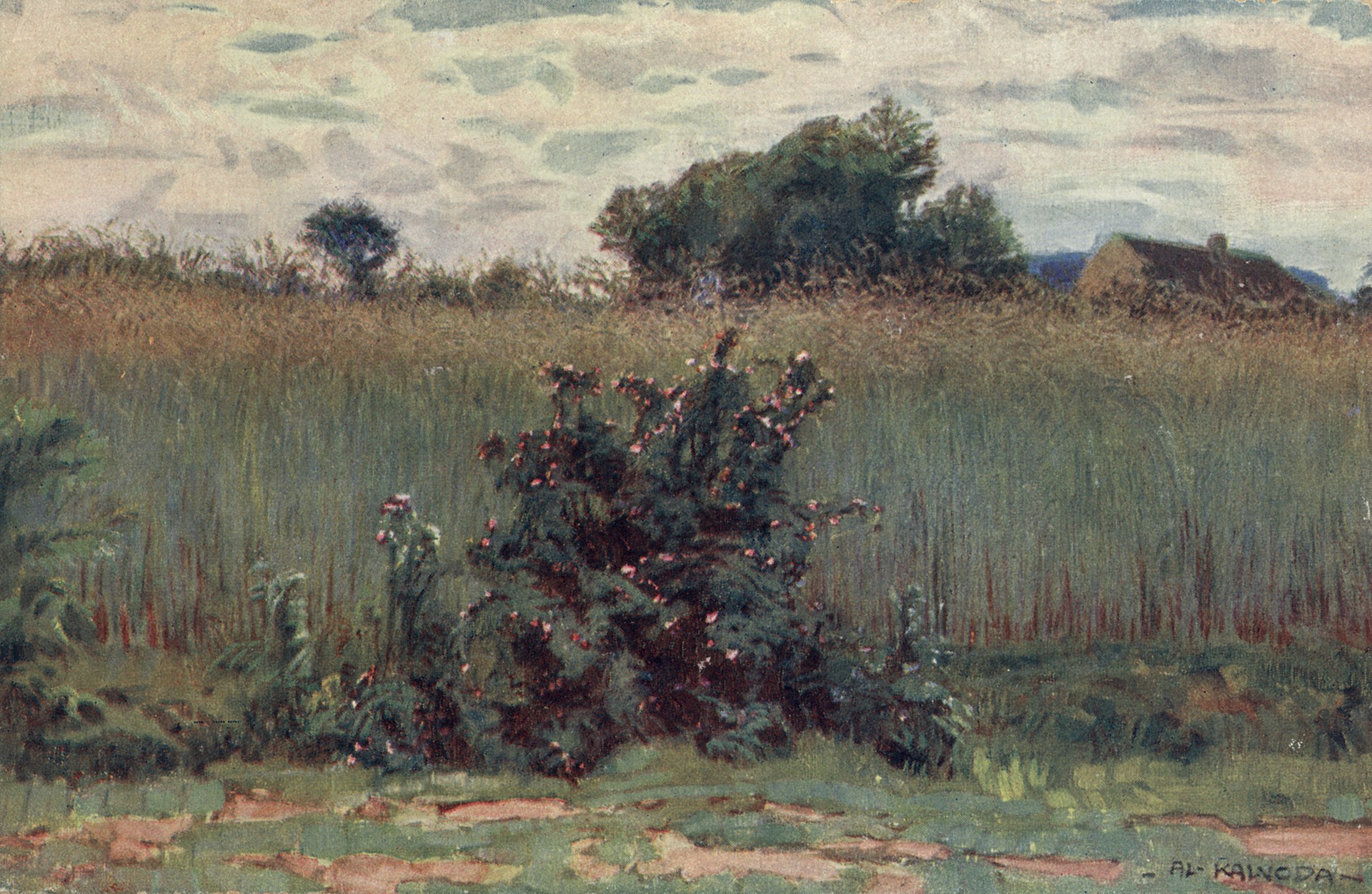 Зелёная рожь 1