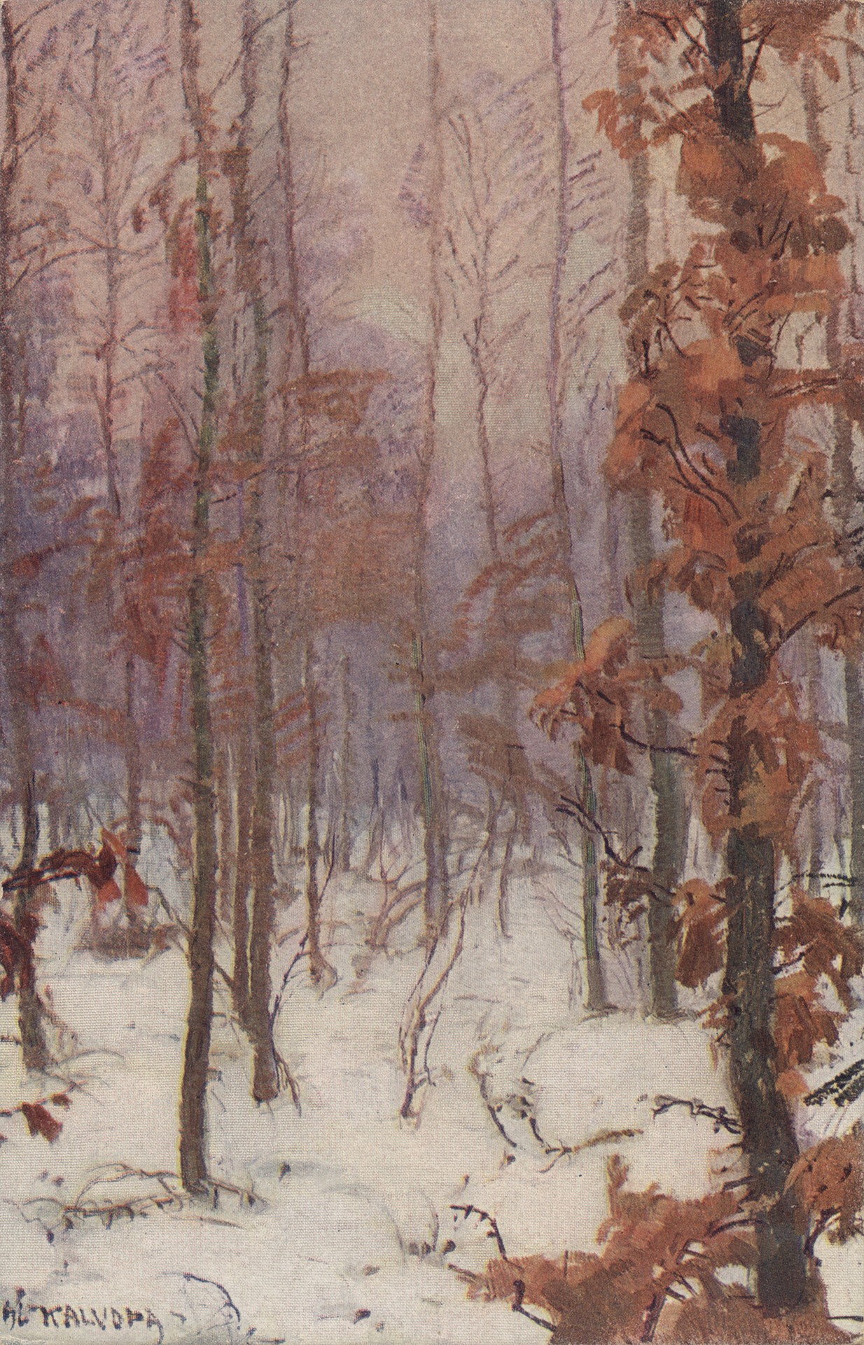 Зимой в лесу