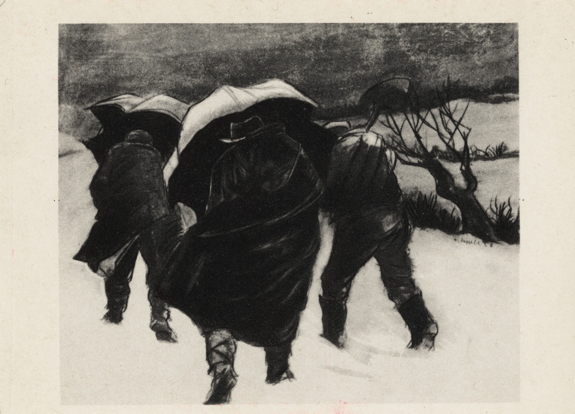 Люди на снегу