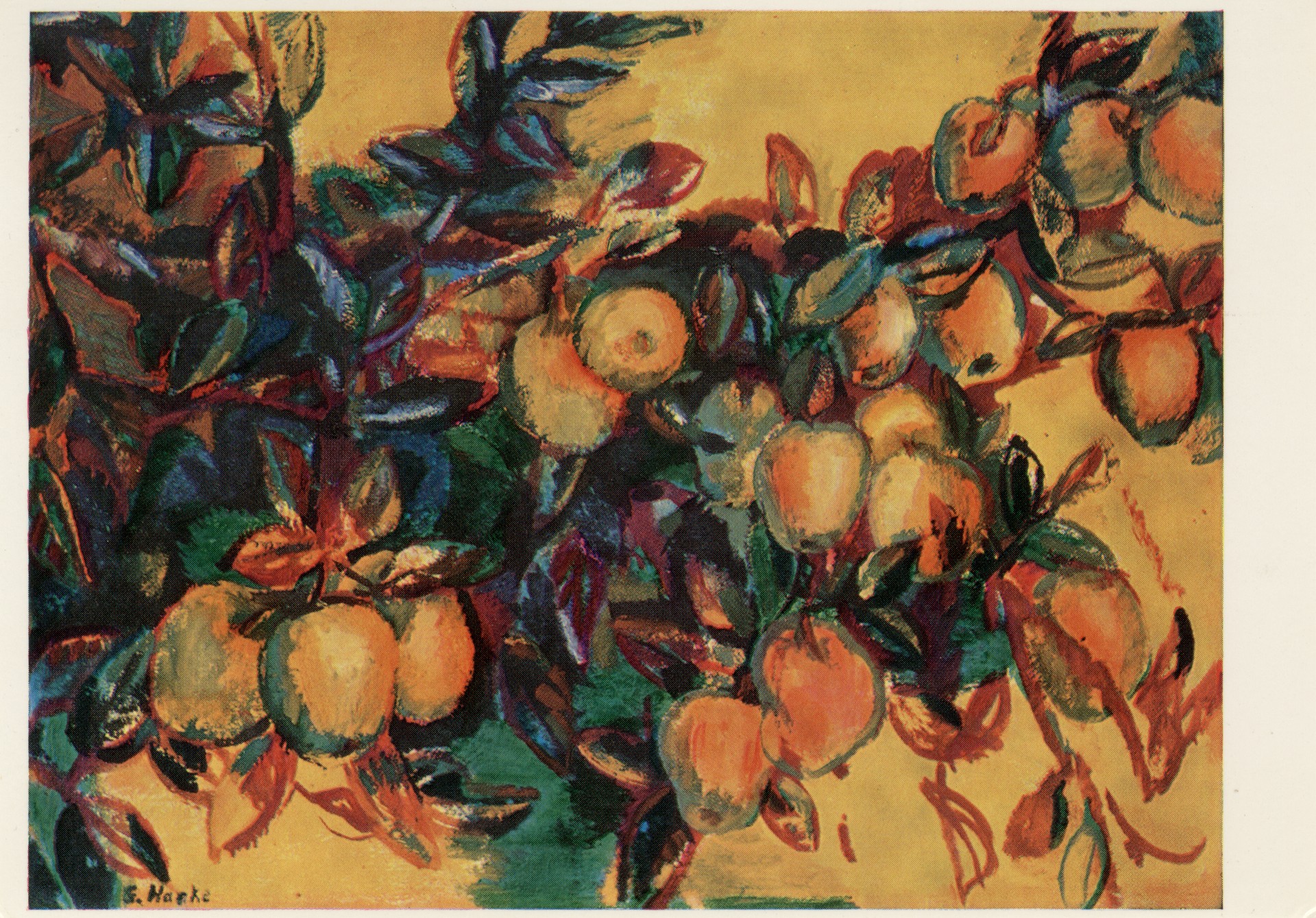 Ветка с яблоками