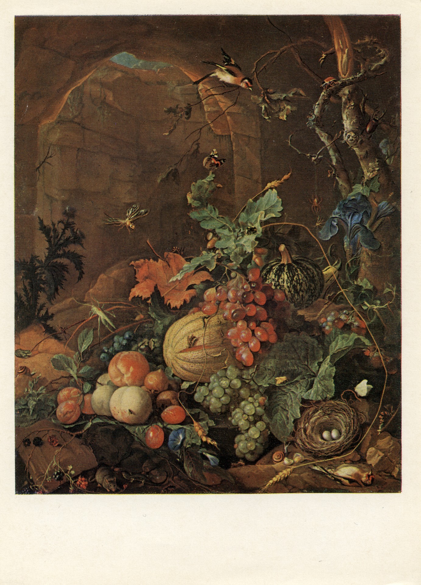 Большой натюрморт с голубиным гнездом