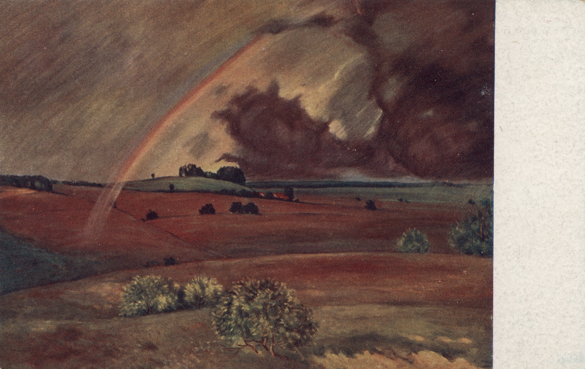 После дождя