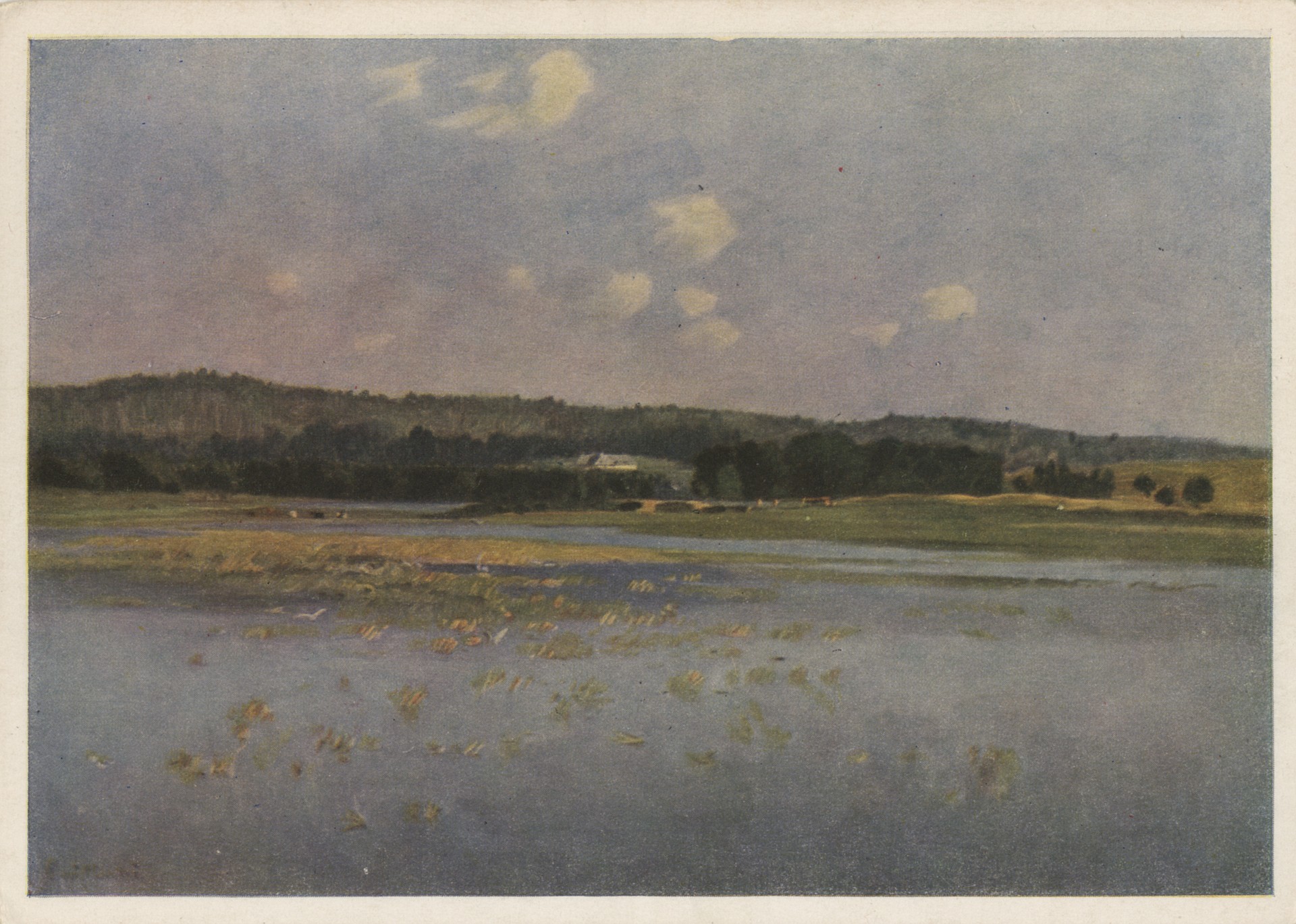 Луга в Сватовицках