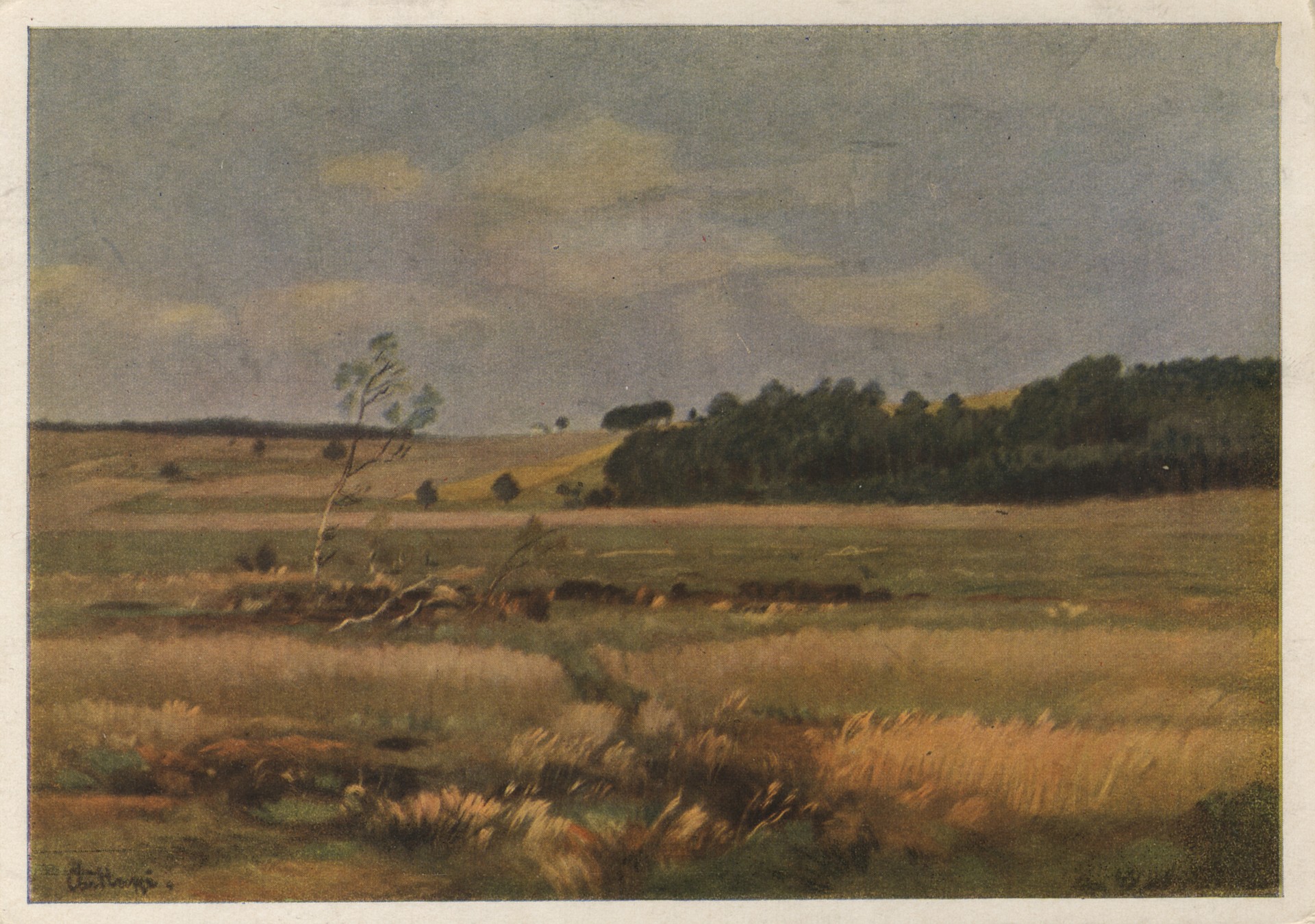 На опушке рощи