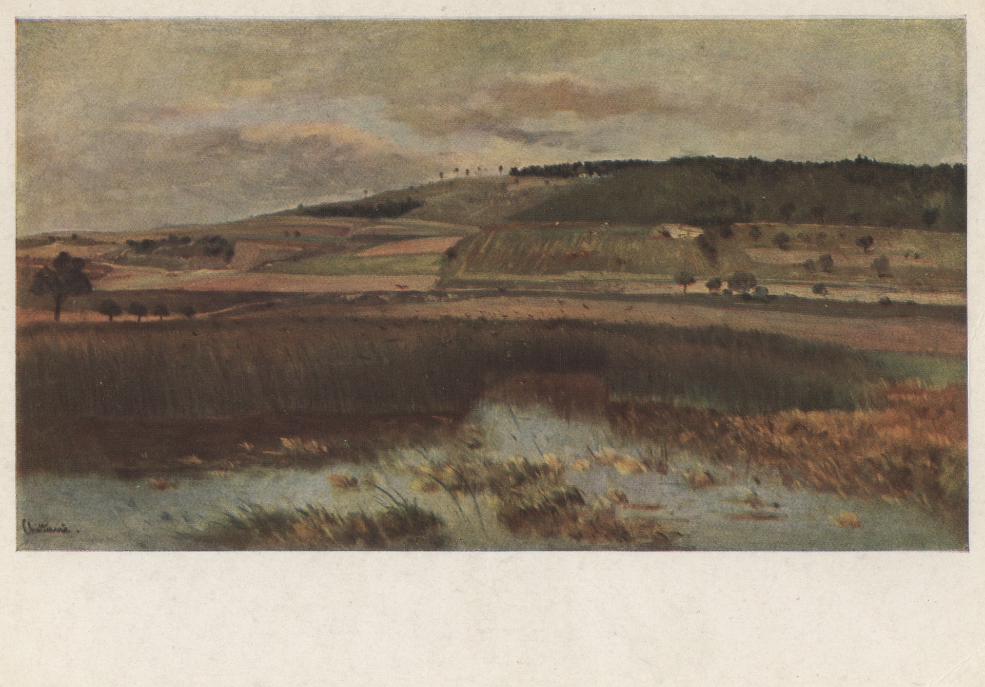 Пейзаж с лугами