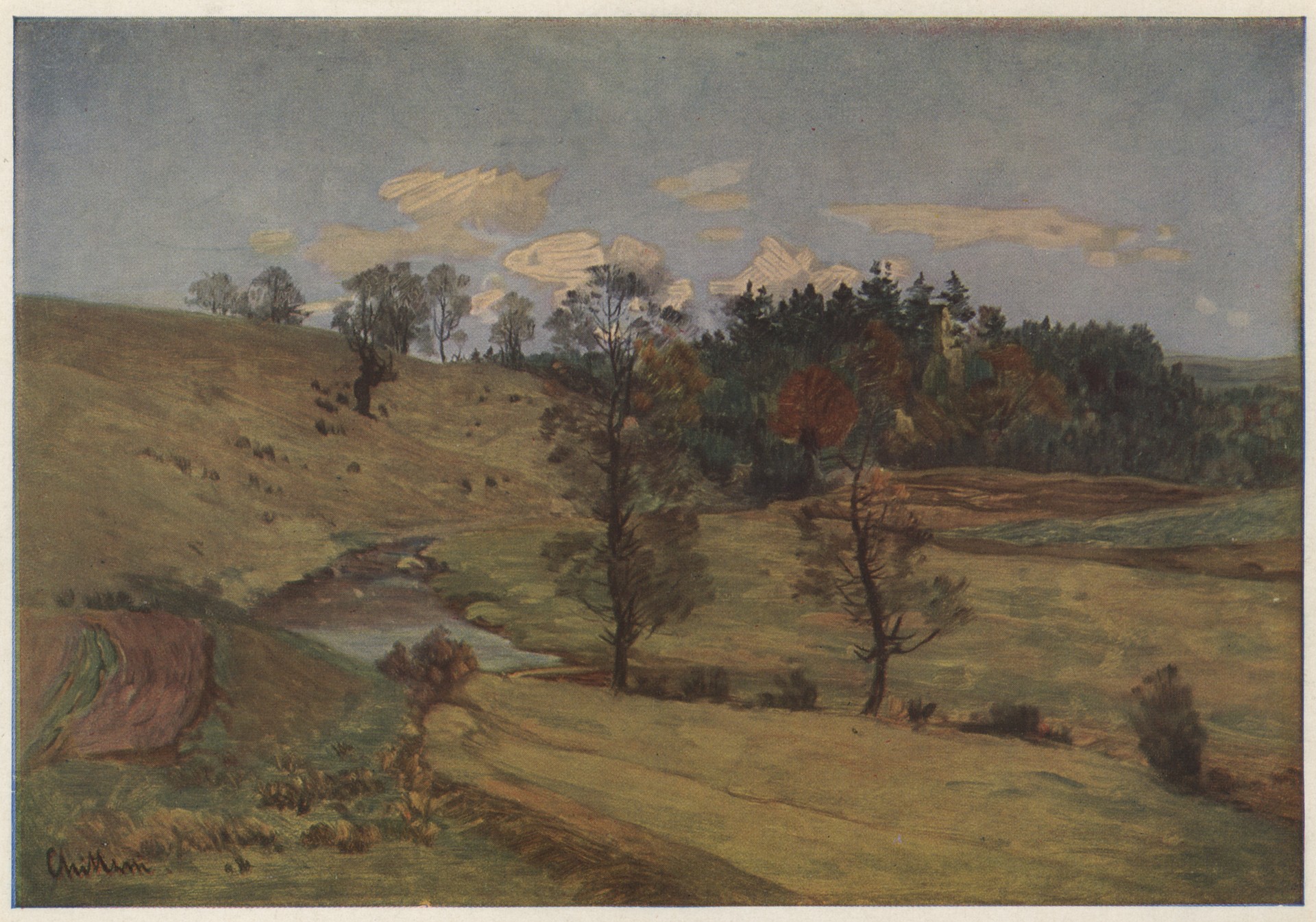 Поток в пахоркатине