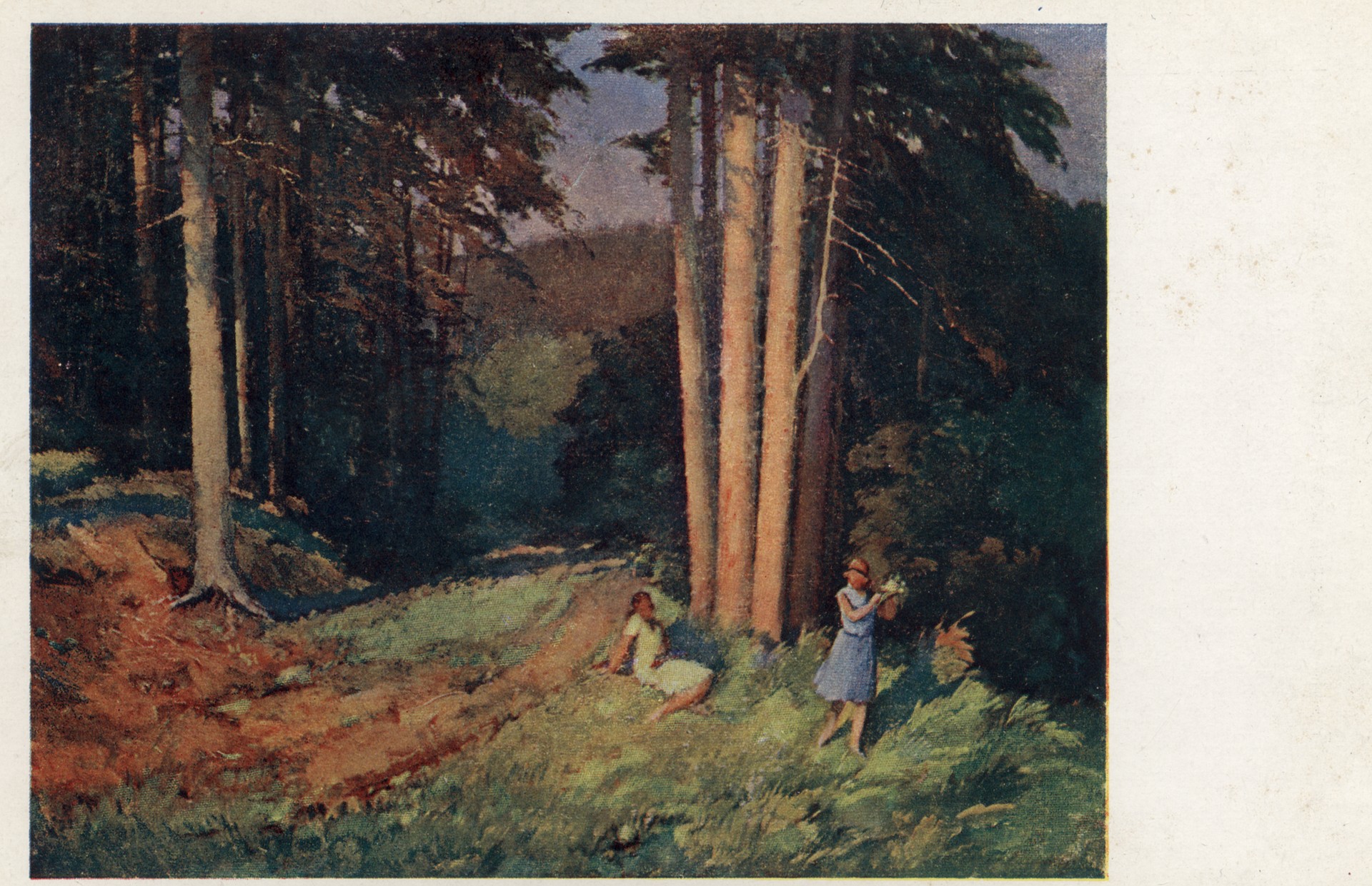 Сосновый лес с людьми