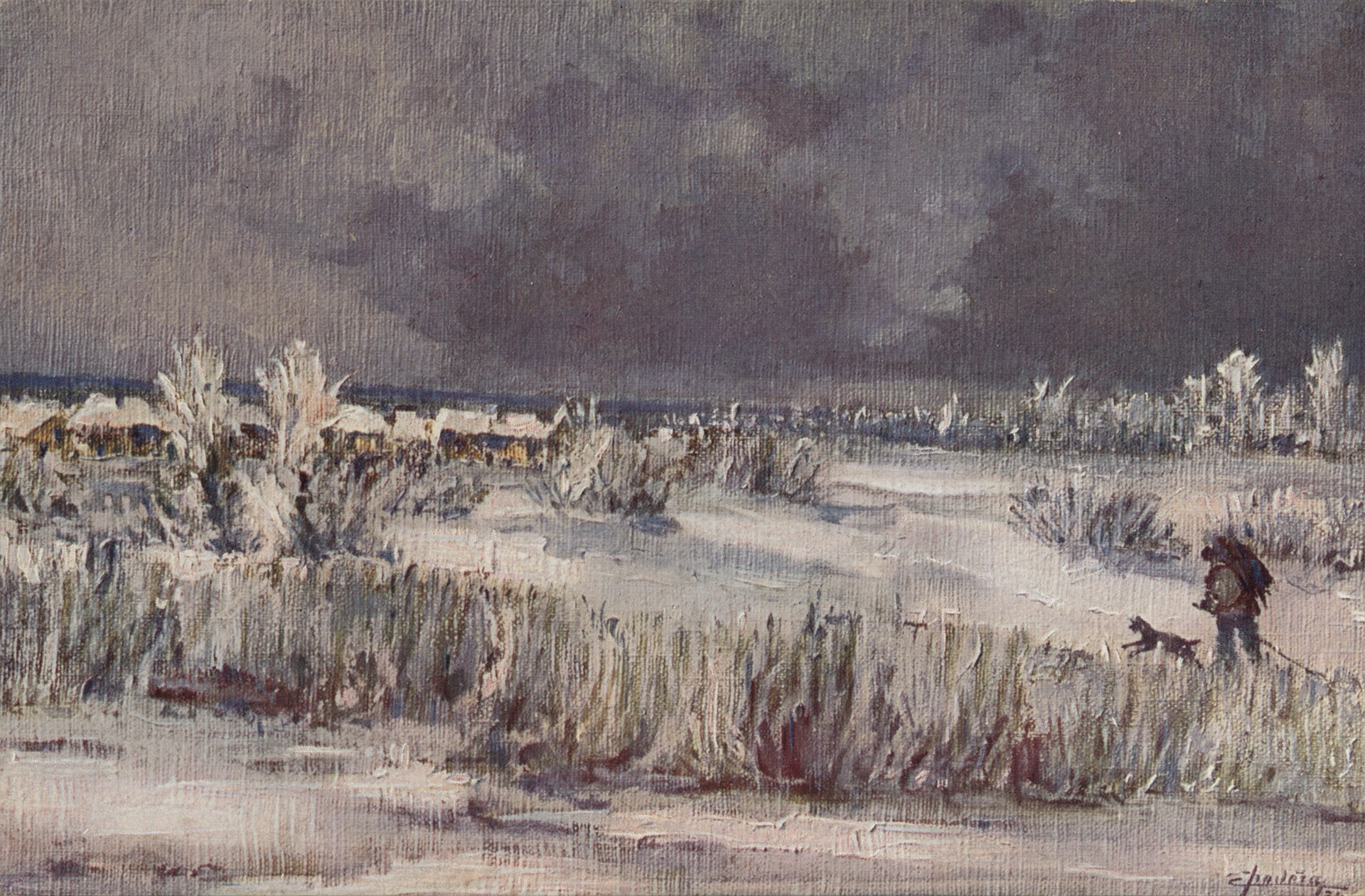 На болоте зимой