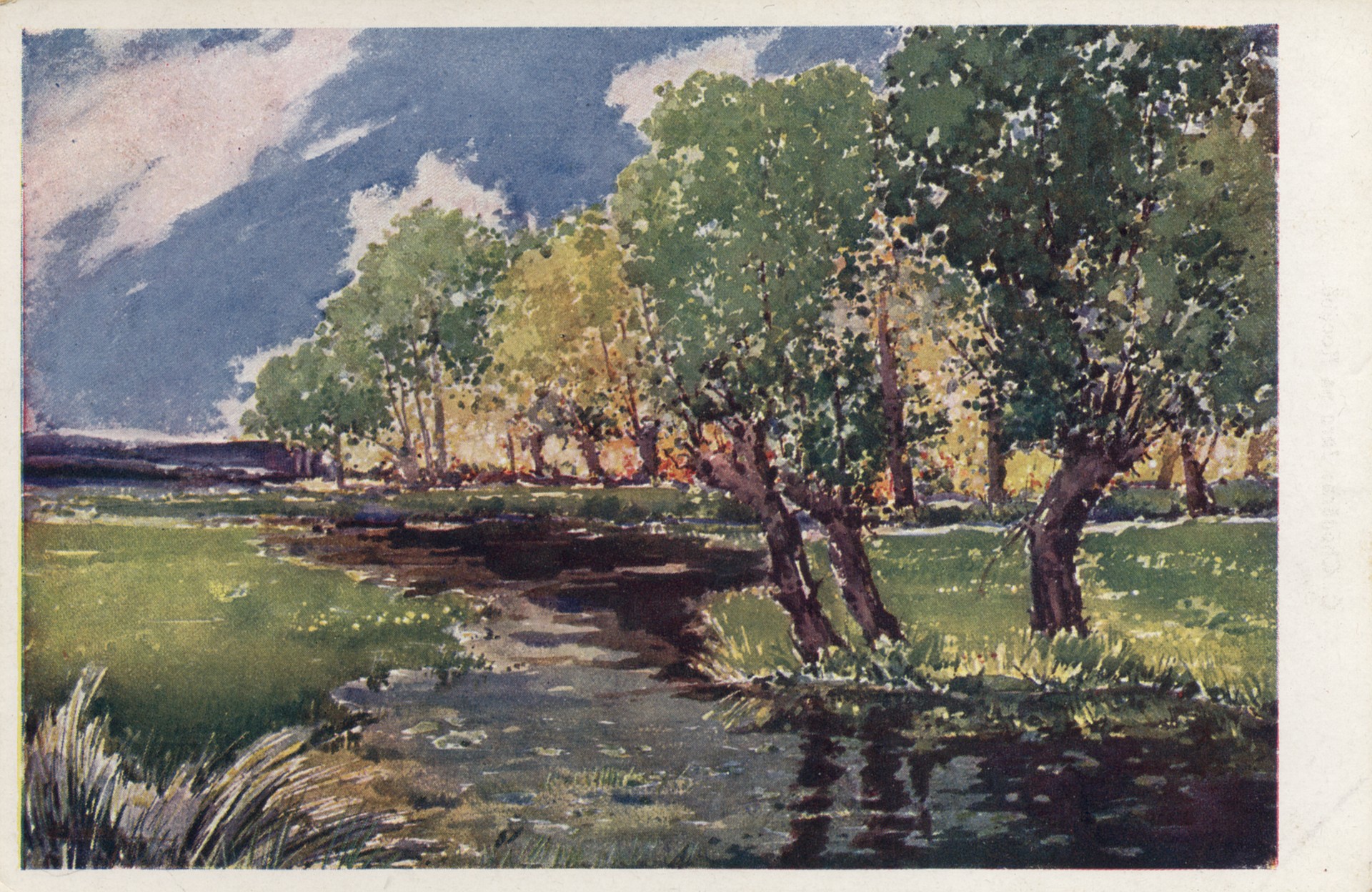 Весна на Коцабе