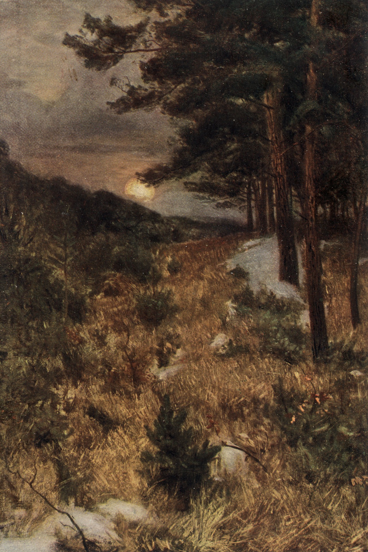 Последний снег