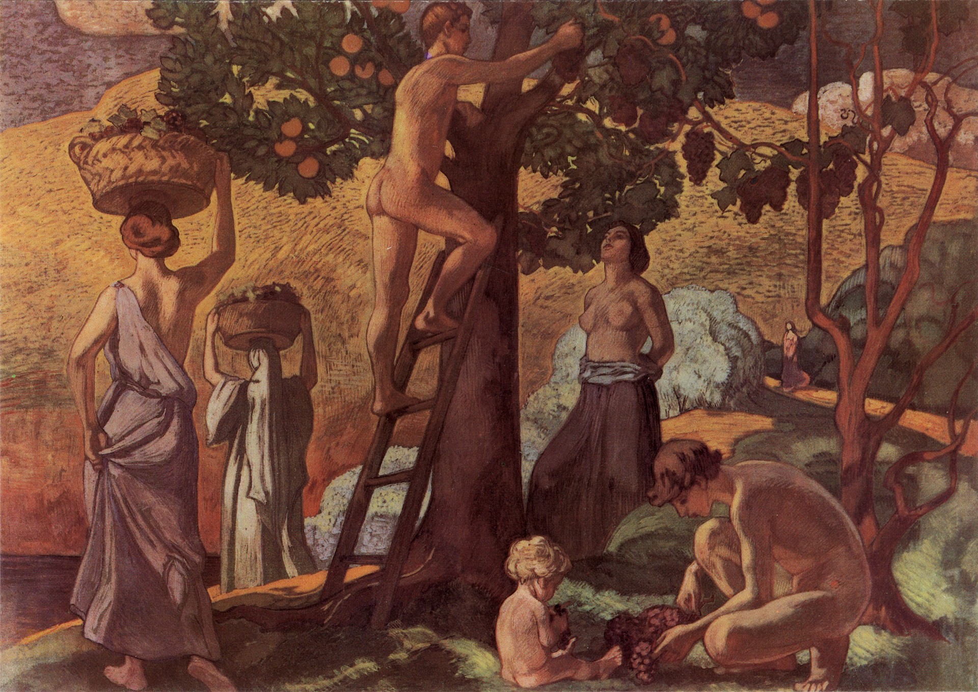 Сбор винограда