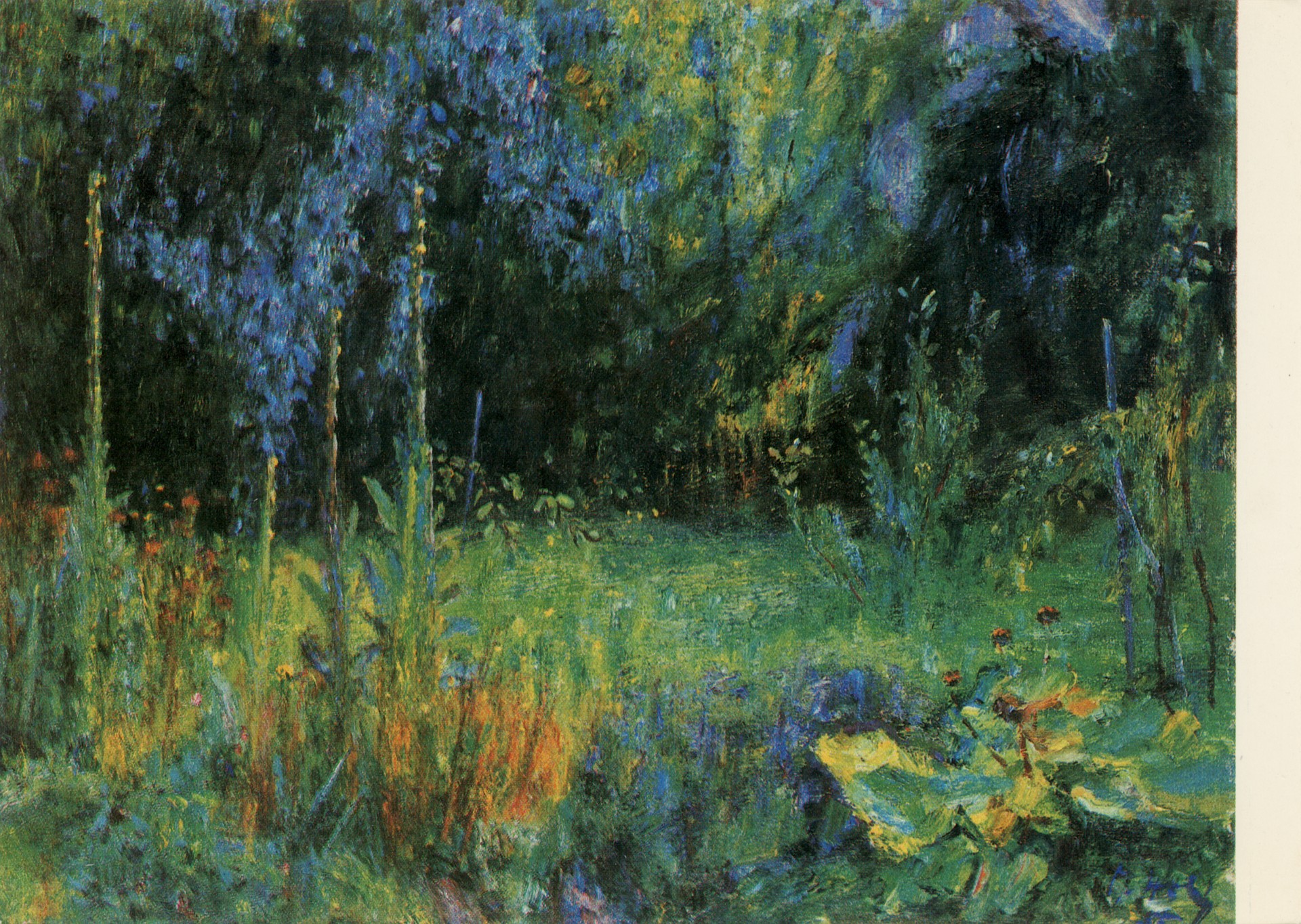 Цветы в саду