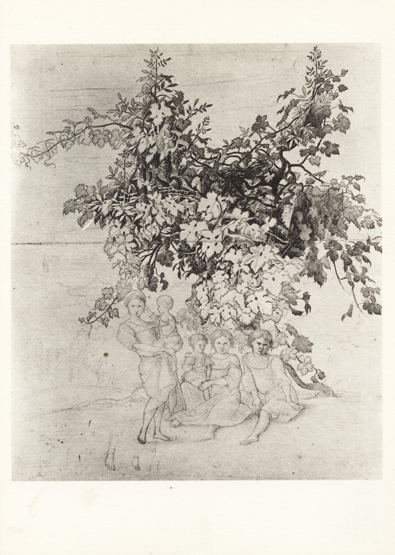 Дети под виноградным кустом