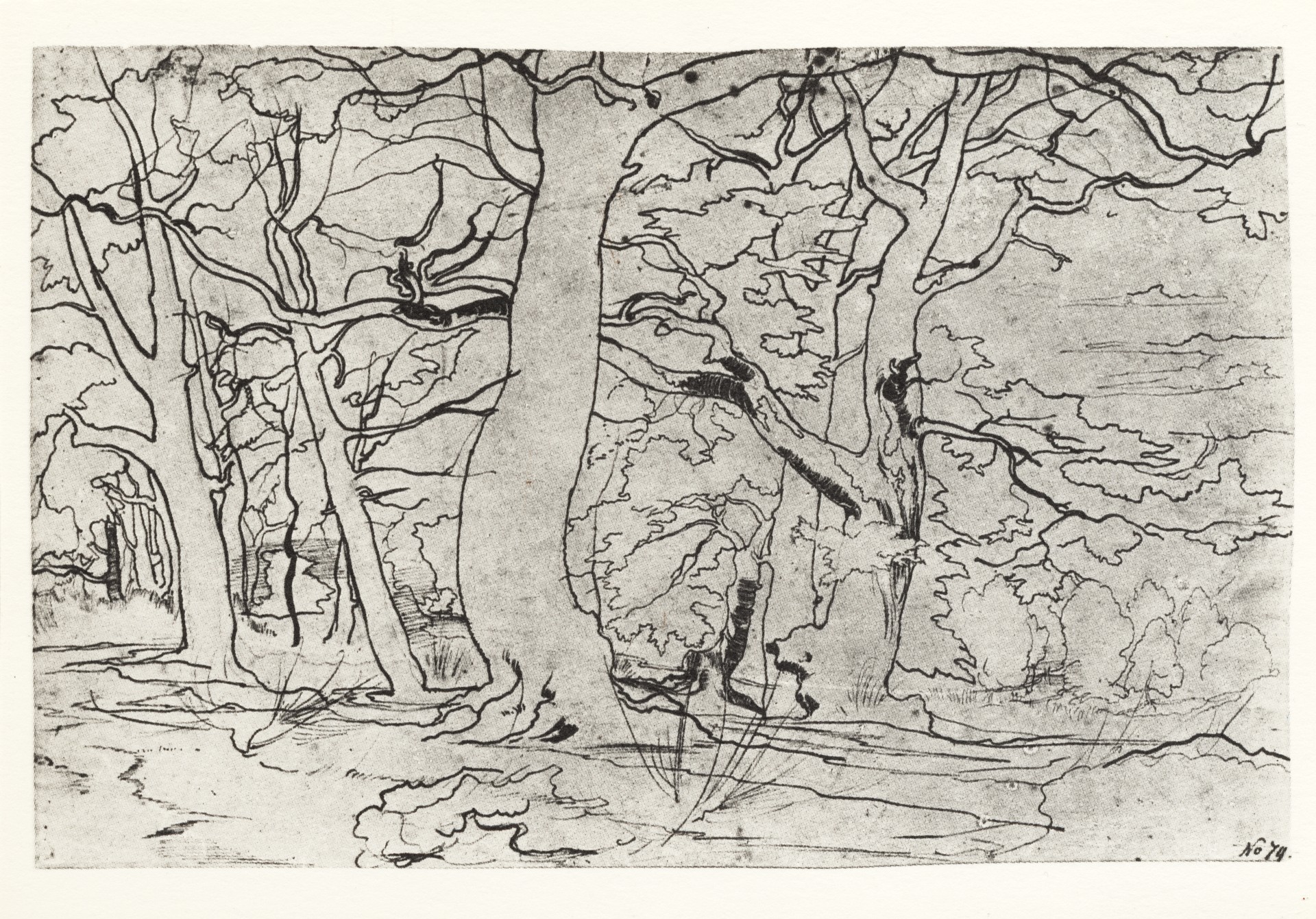 Лесной пейзаж