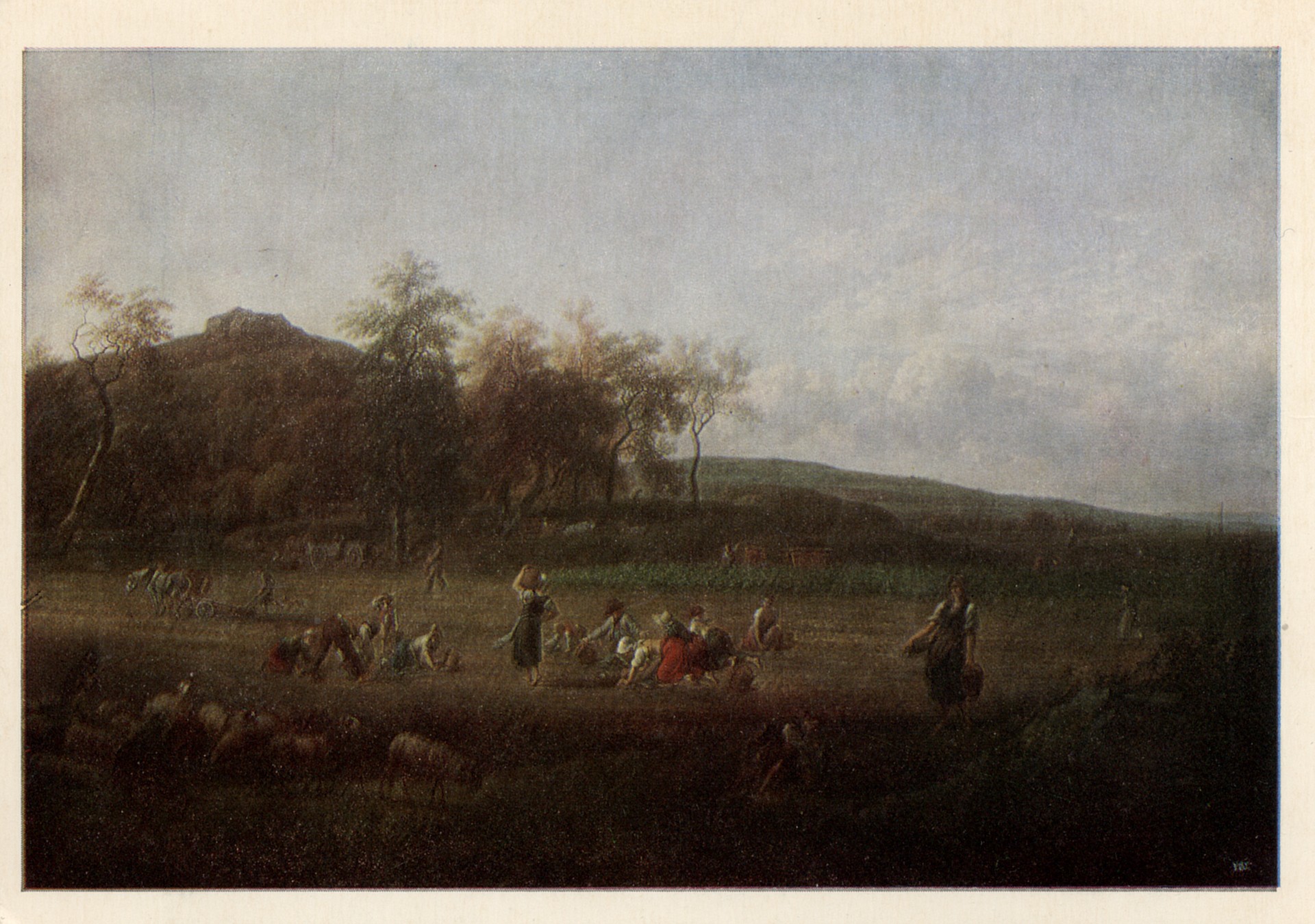 Сбор картофеля