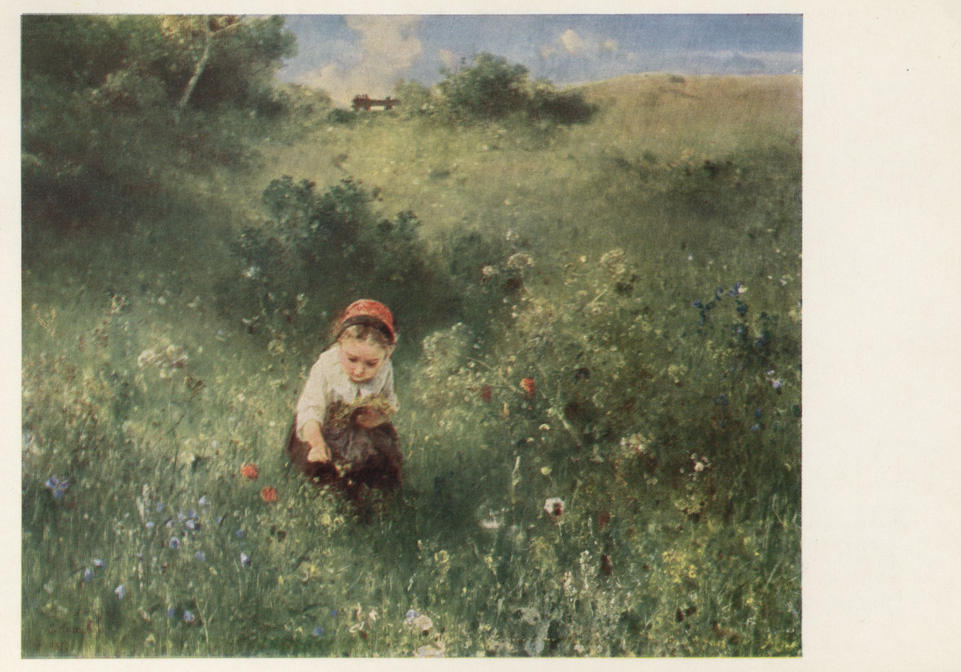 Девочка в поле