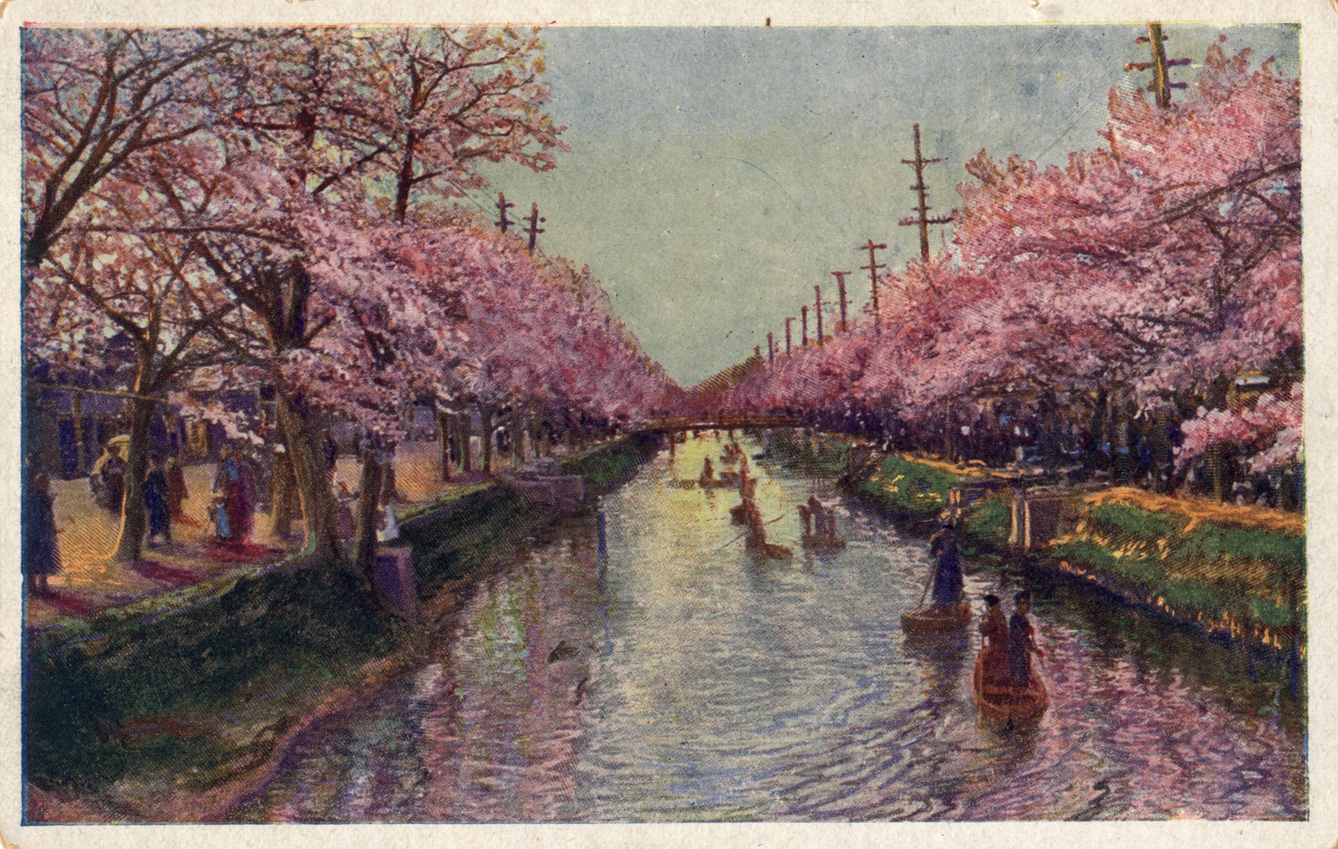 Японский вид